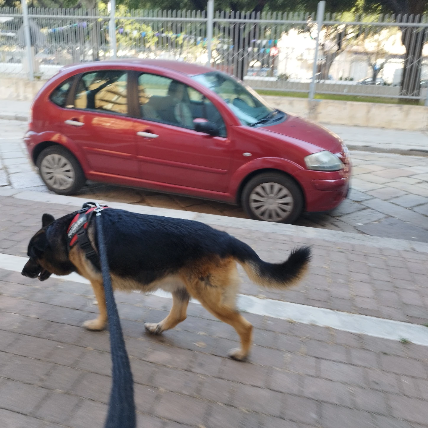 image-14