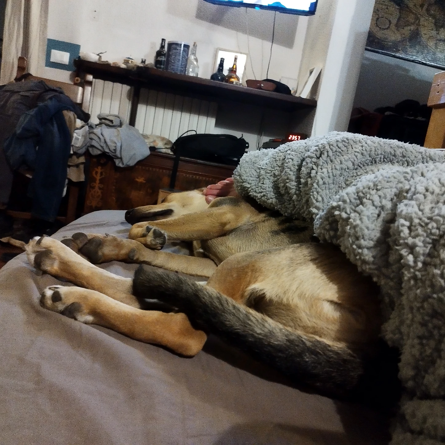image-20