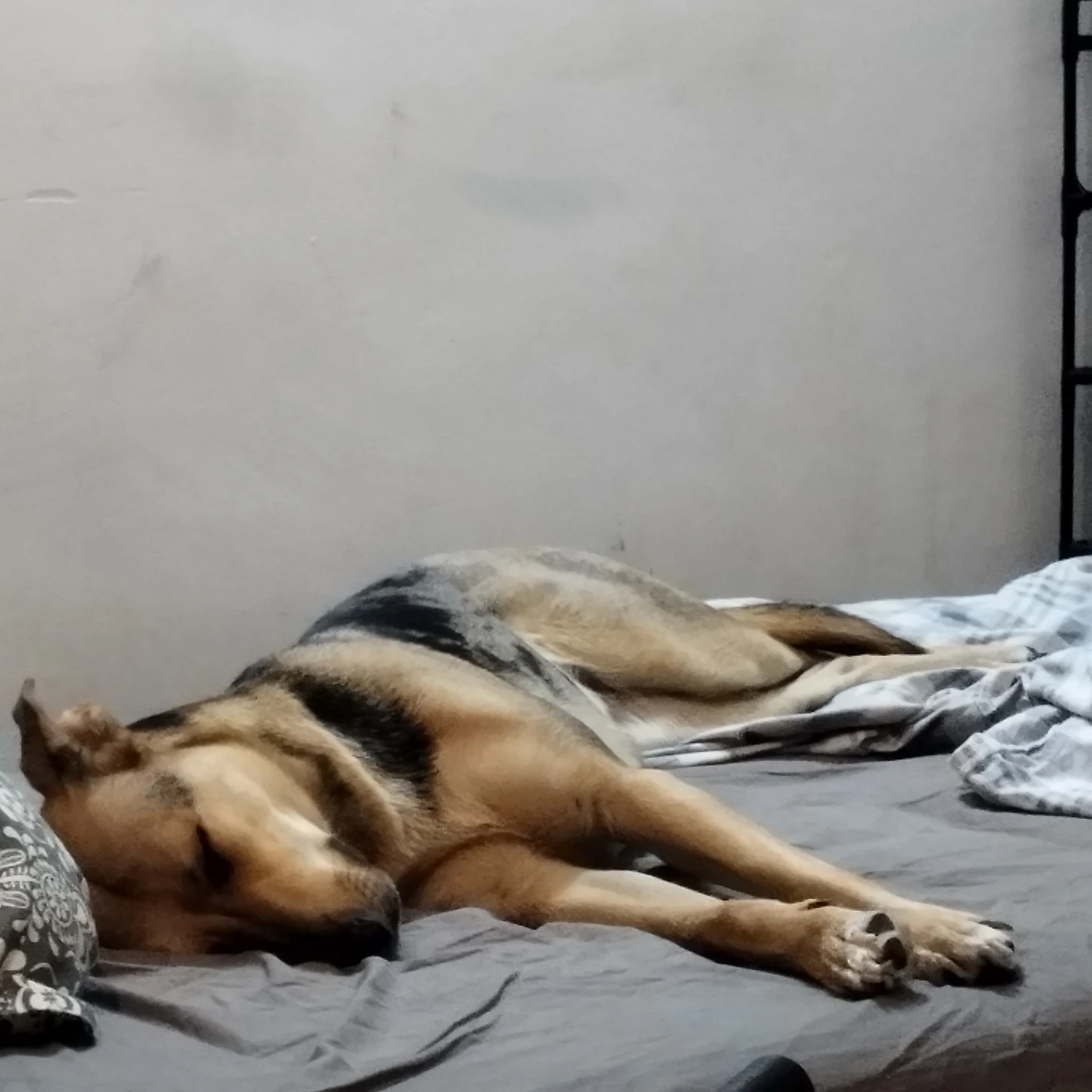 image-6