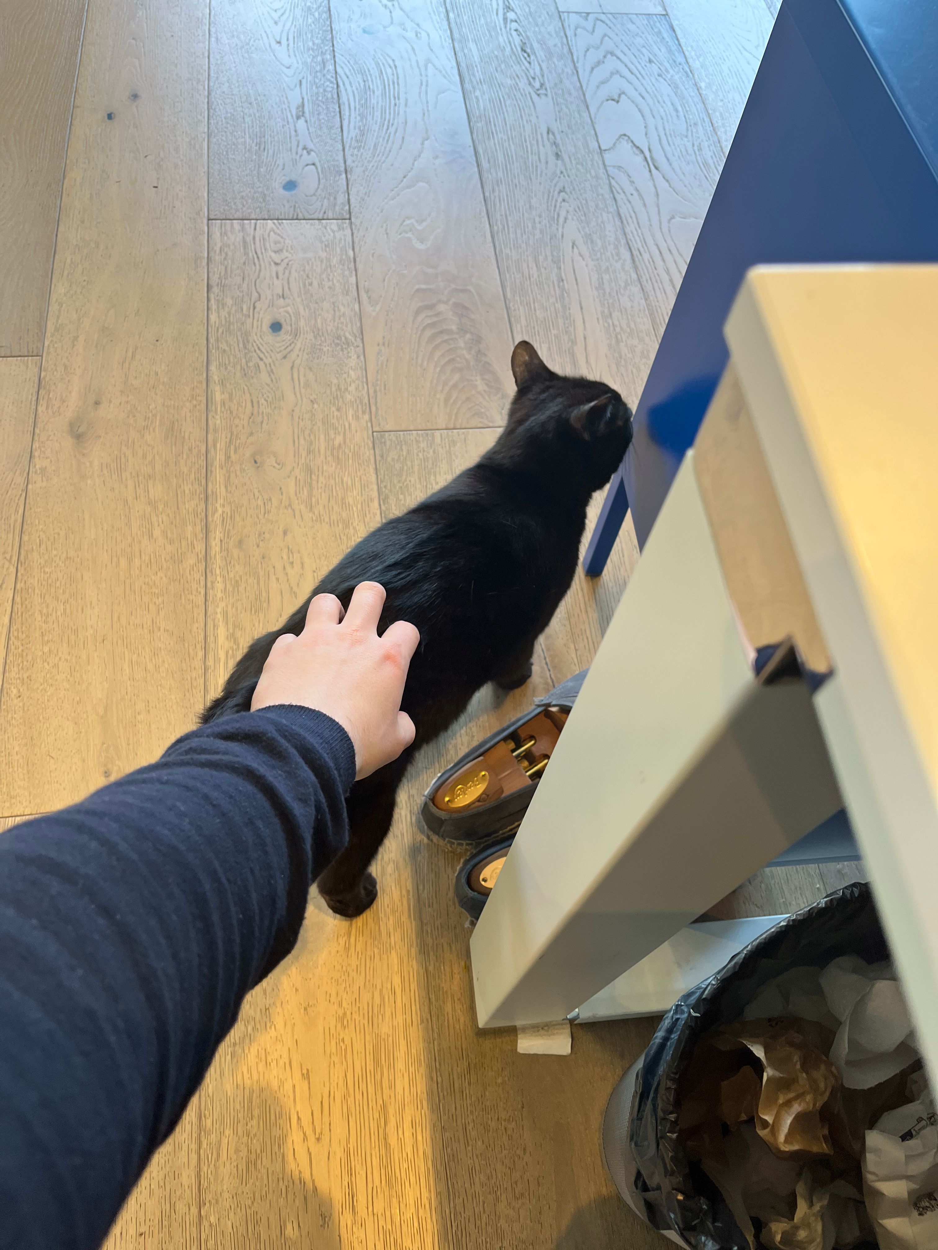 image-11