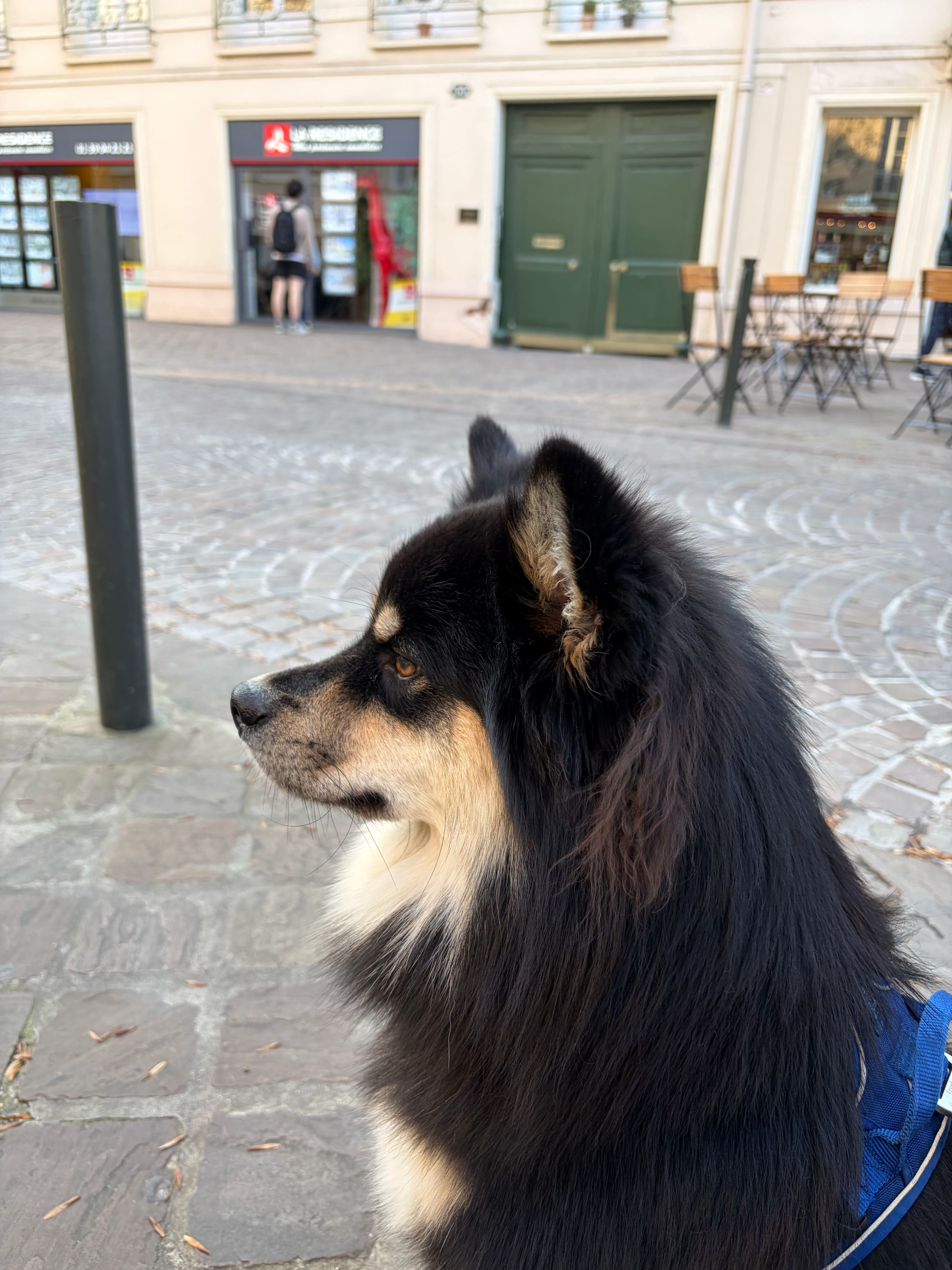 image-14