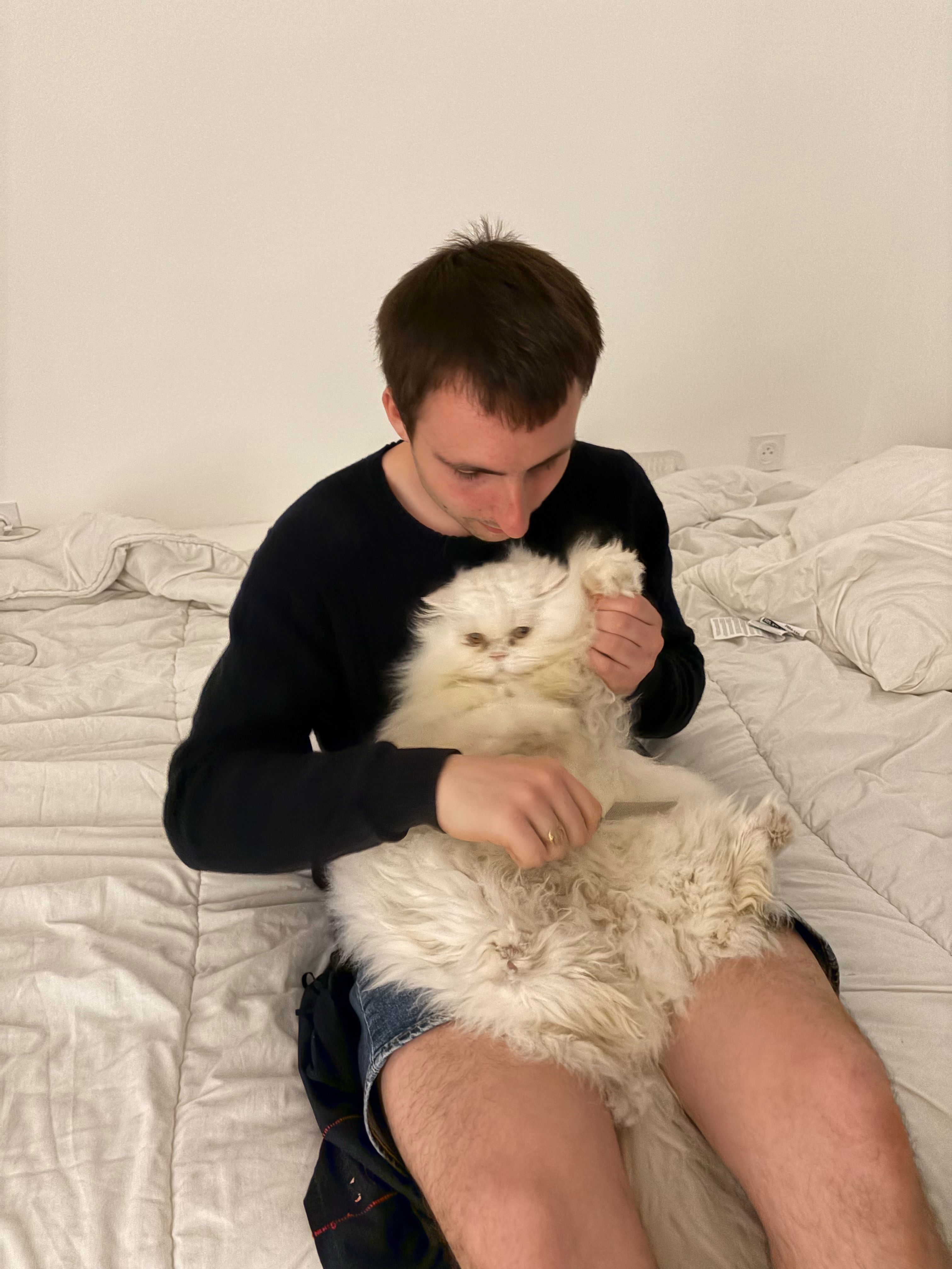 image-2