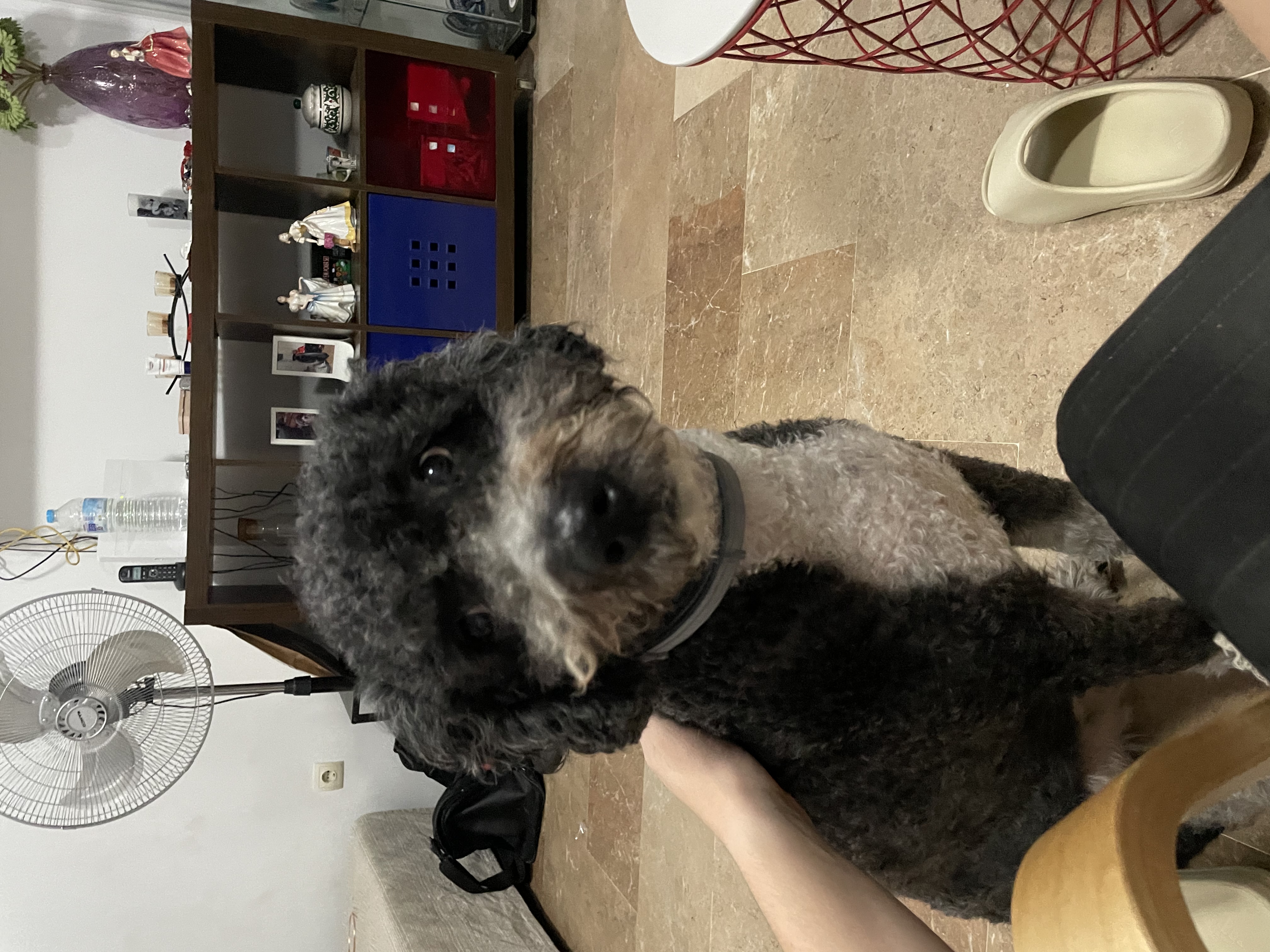 image-3