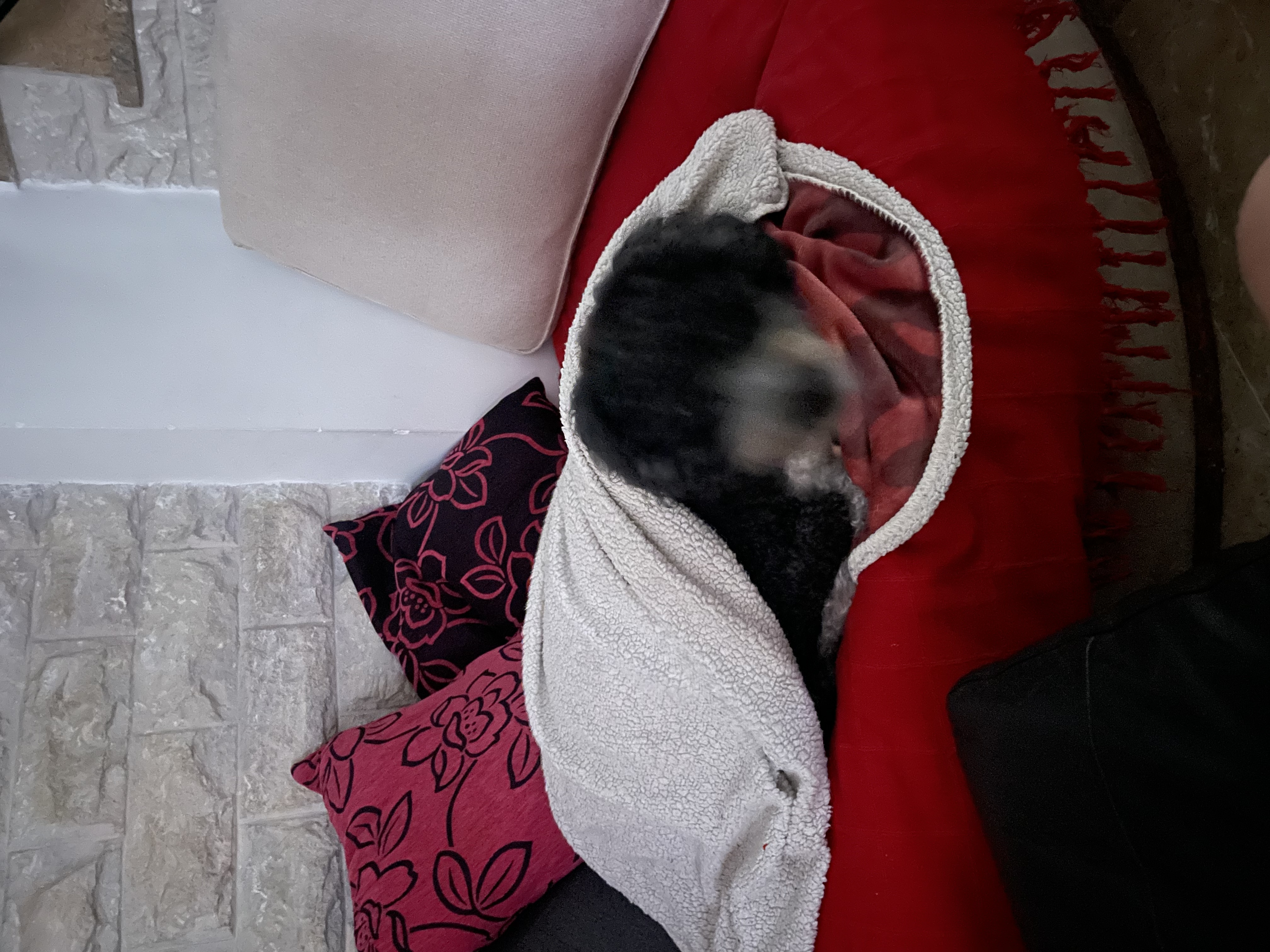 image-7