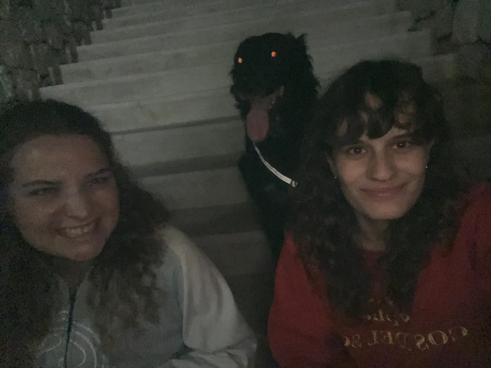 image-8