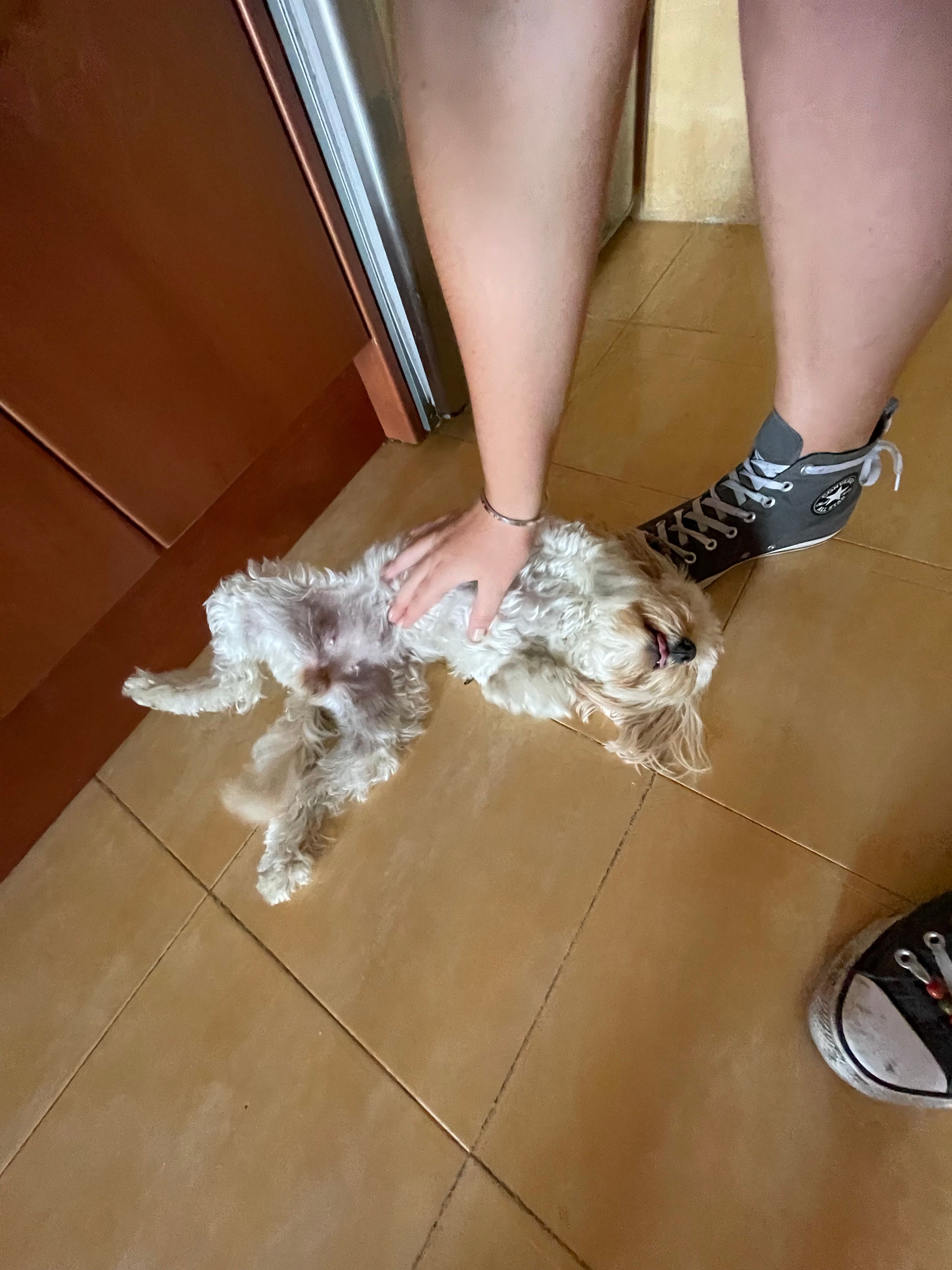 image-12