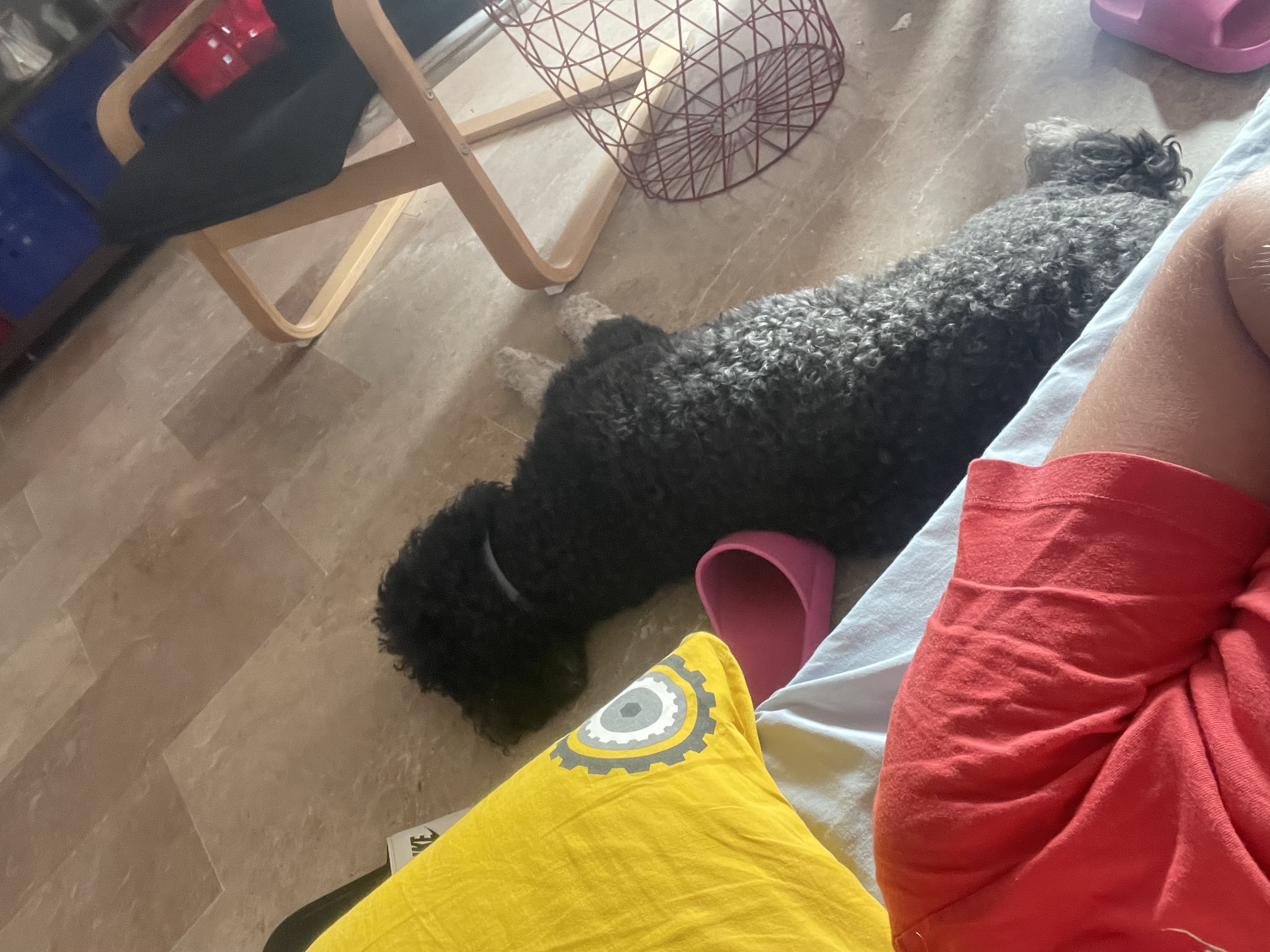 image-6