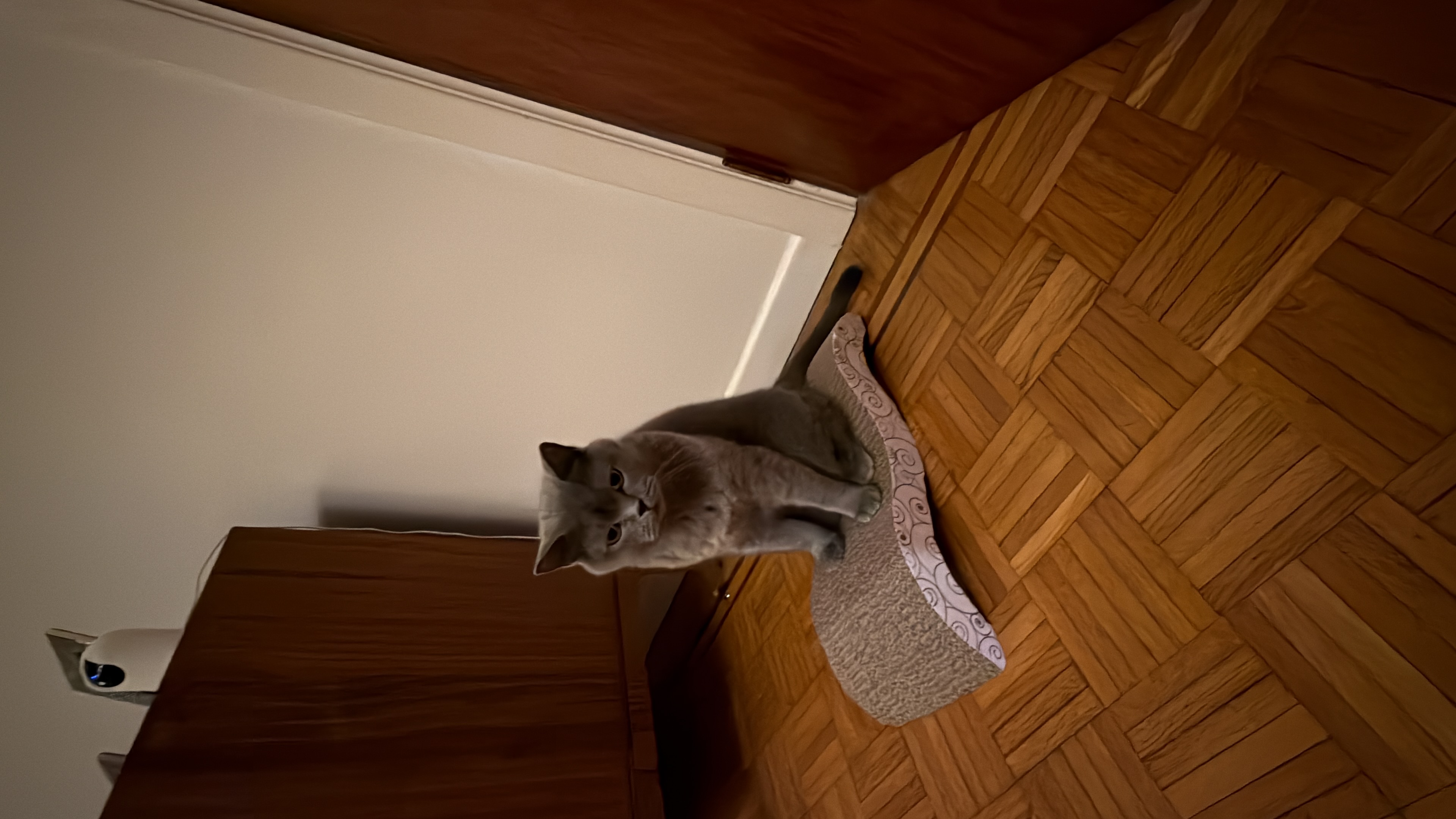 image-17