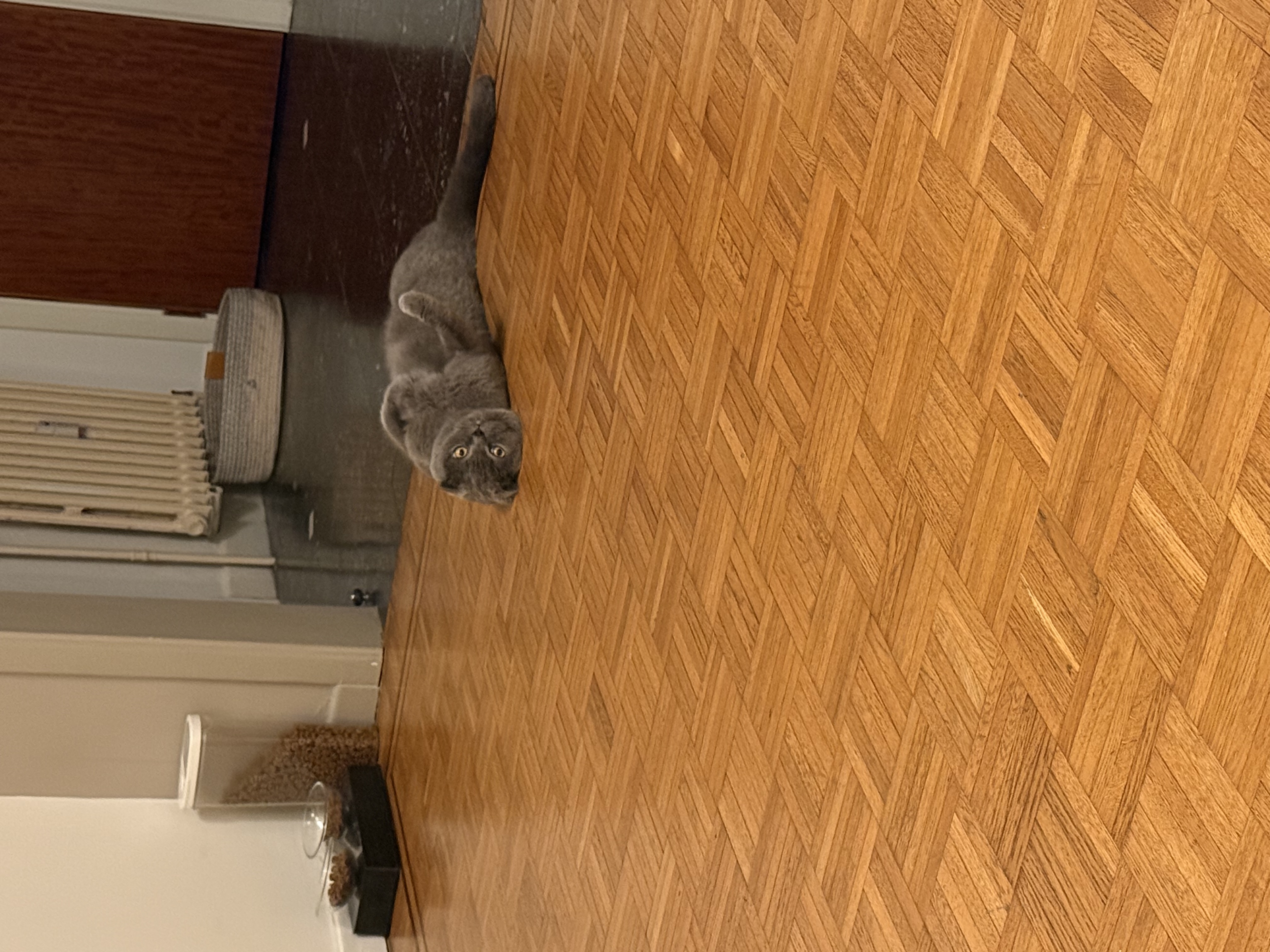 image-18