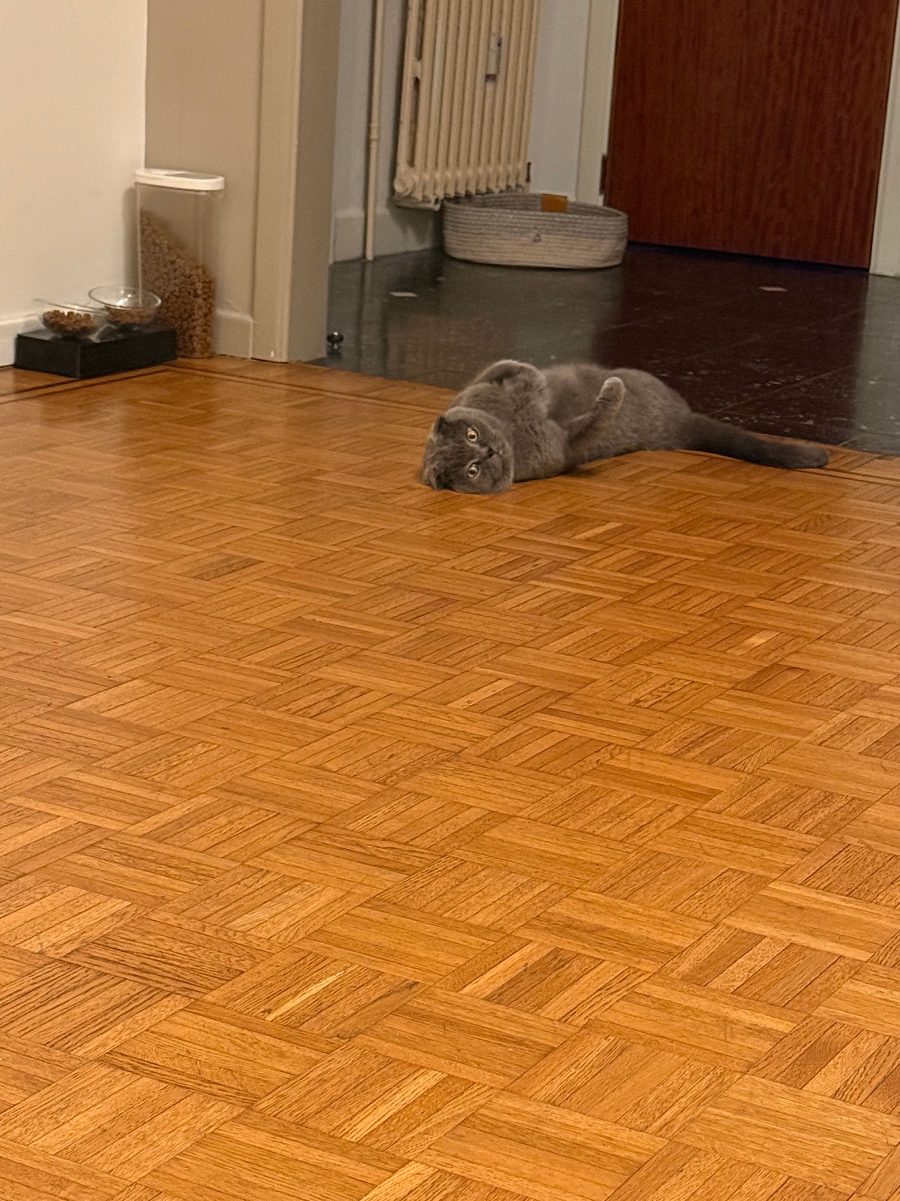 image-18