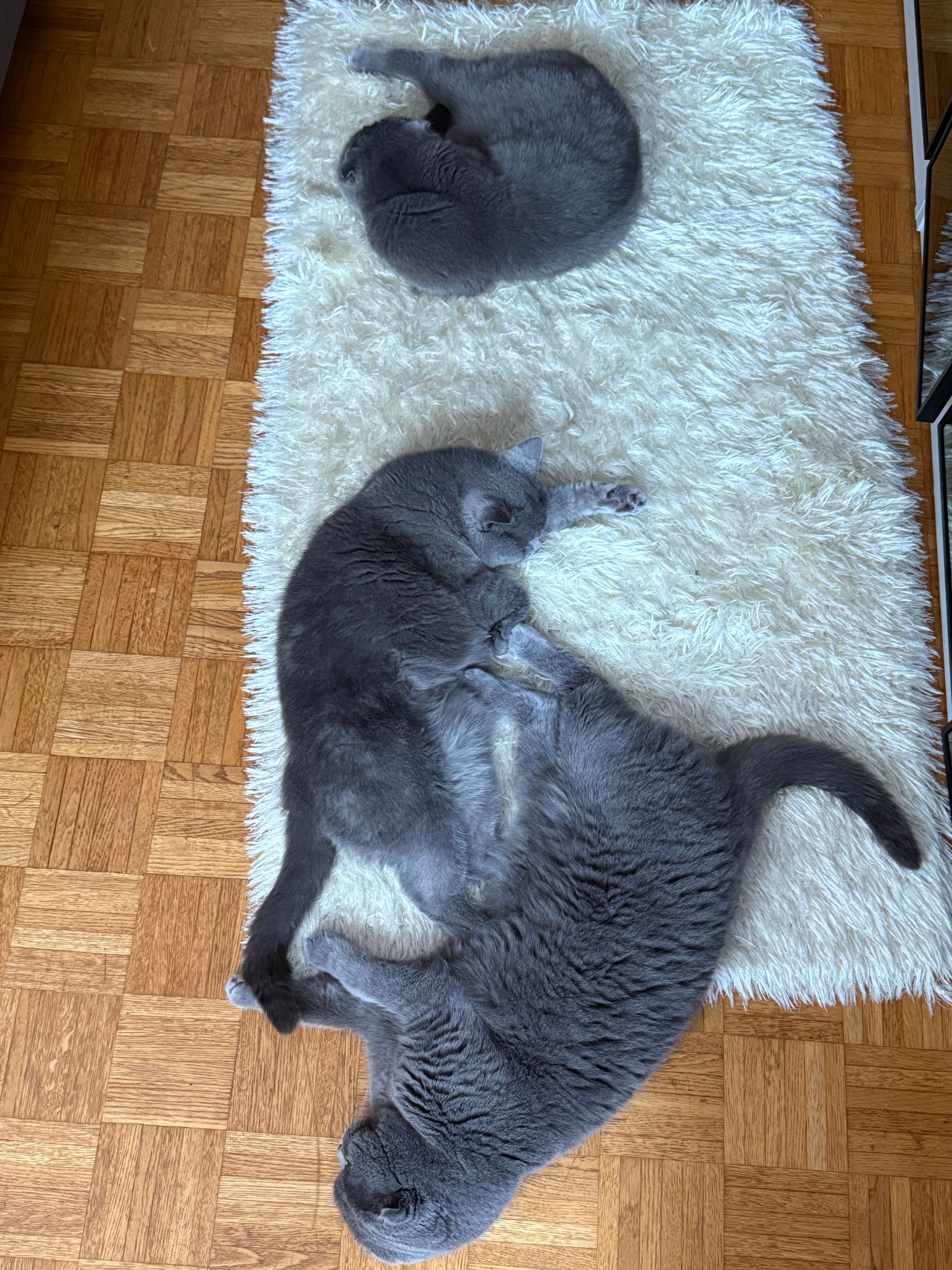 image-13