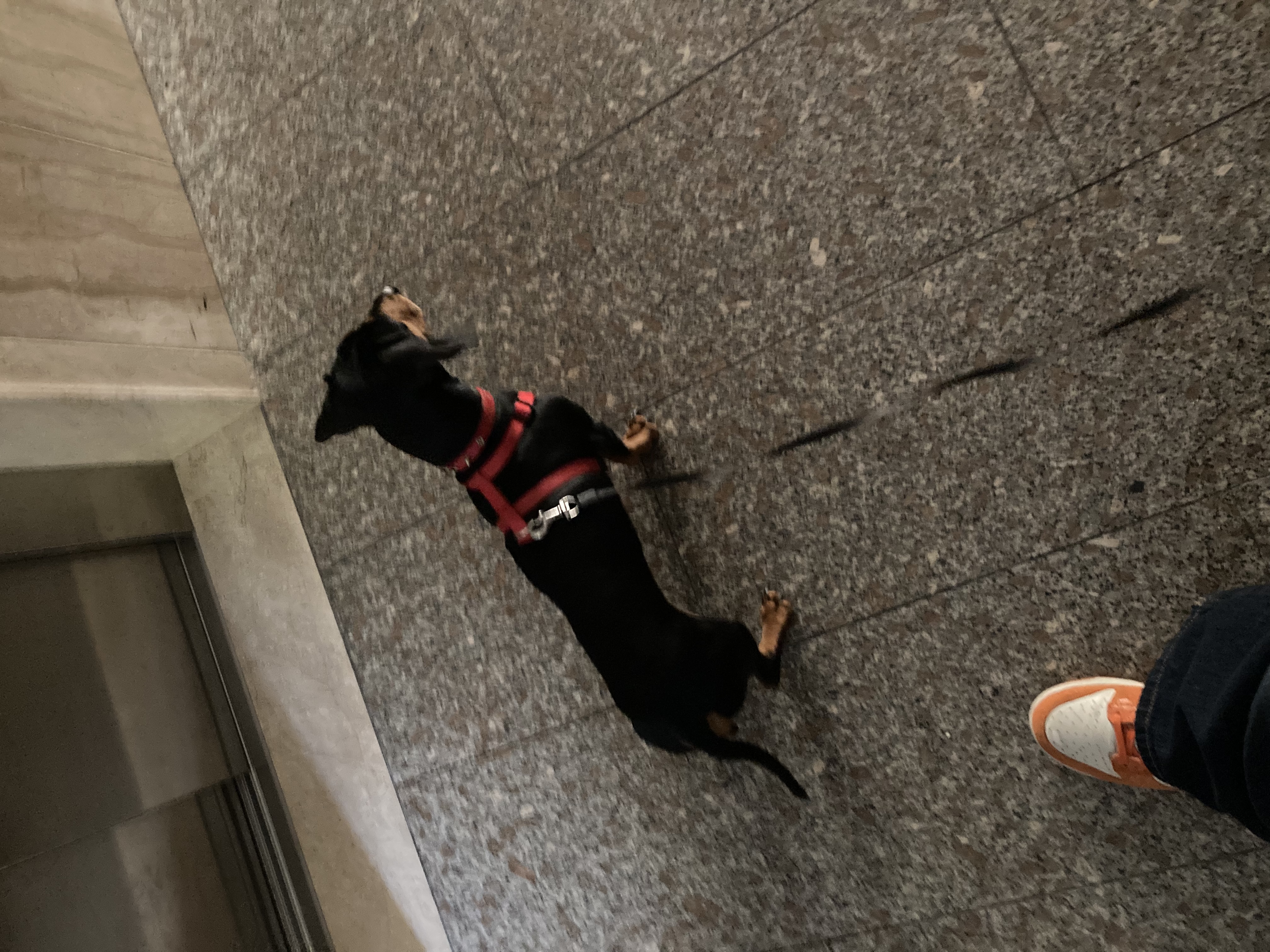image-15
