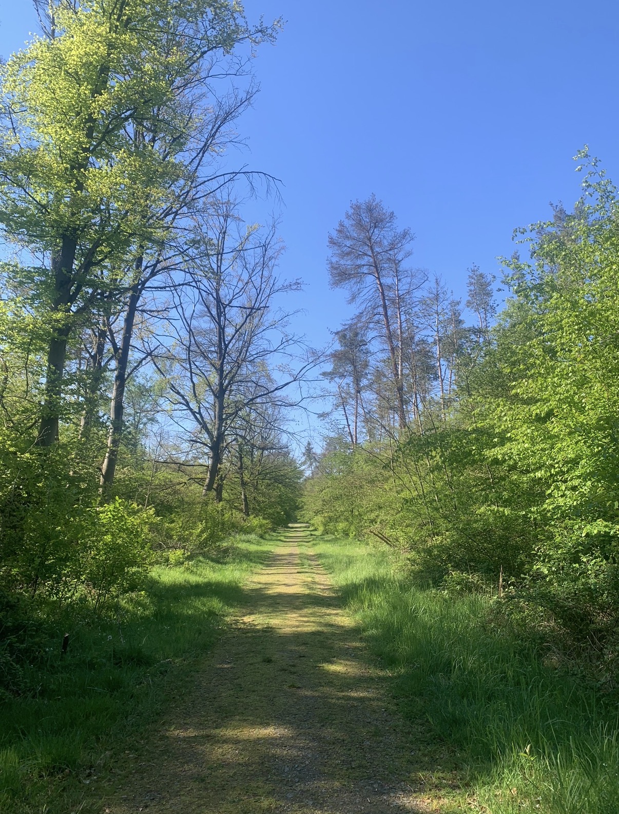 image-16