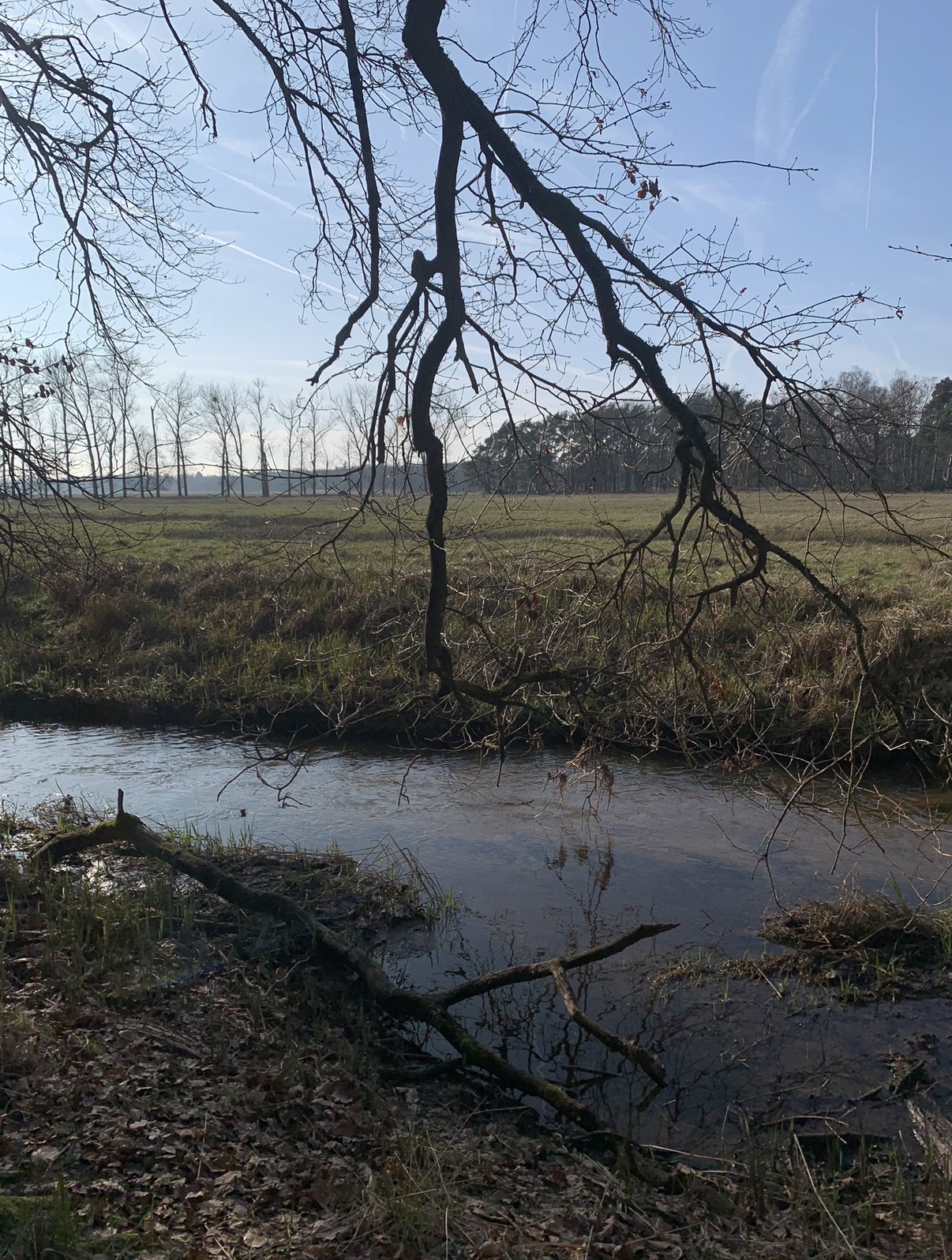 image-18