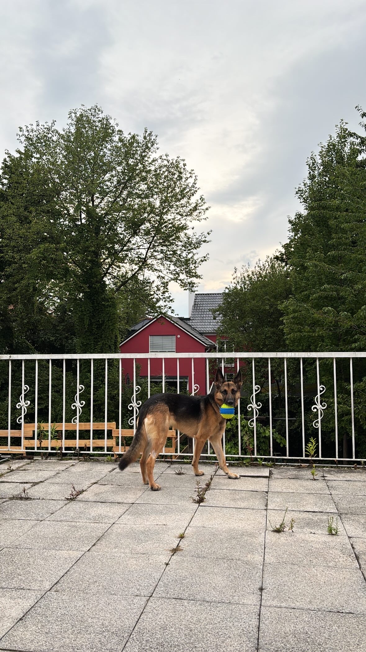 image-10