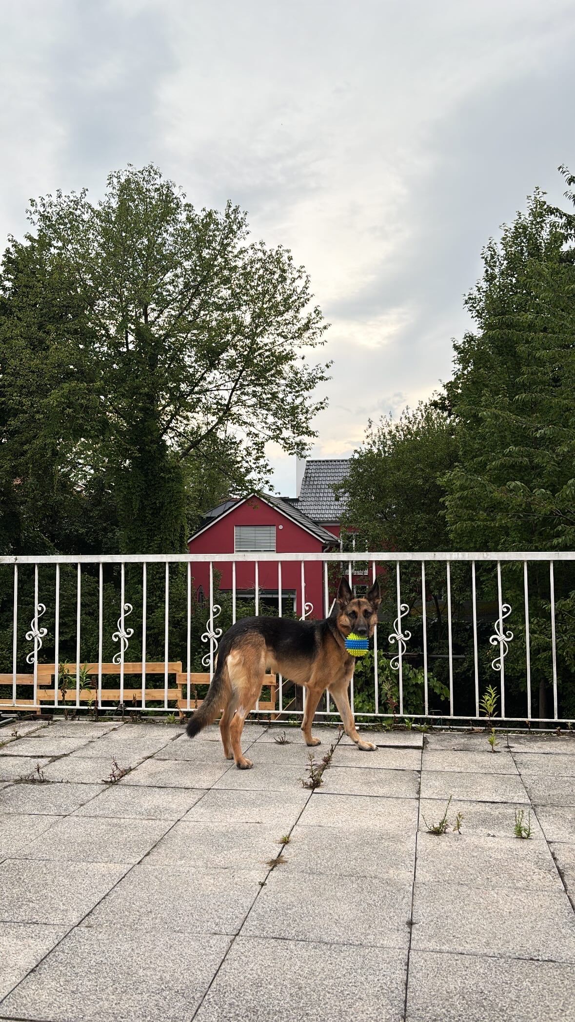 image-10