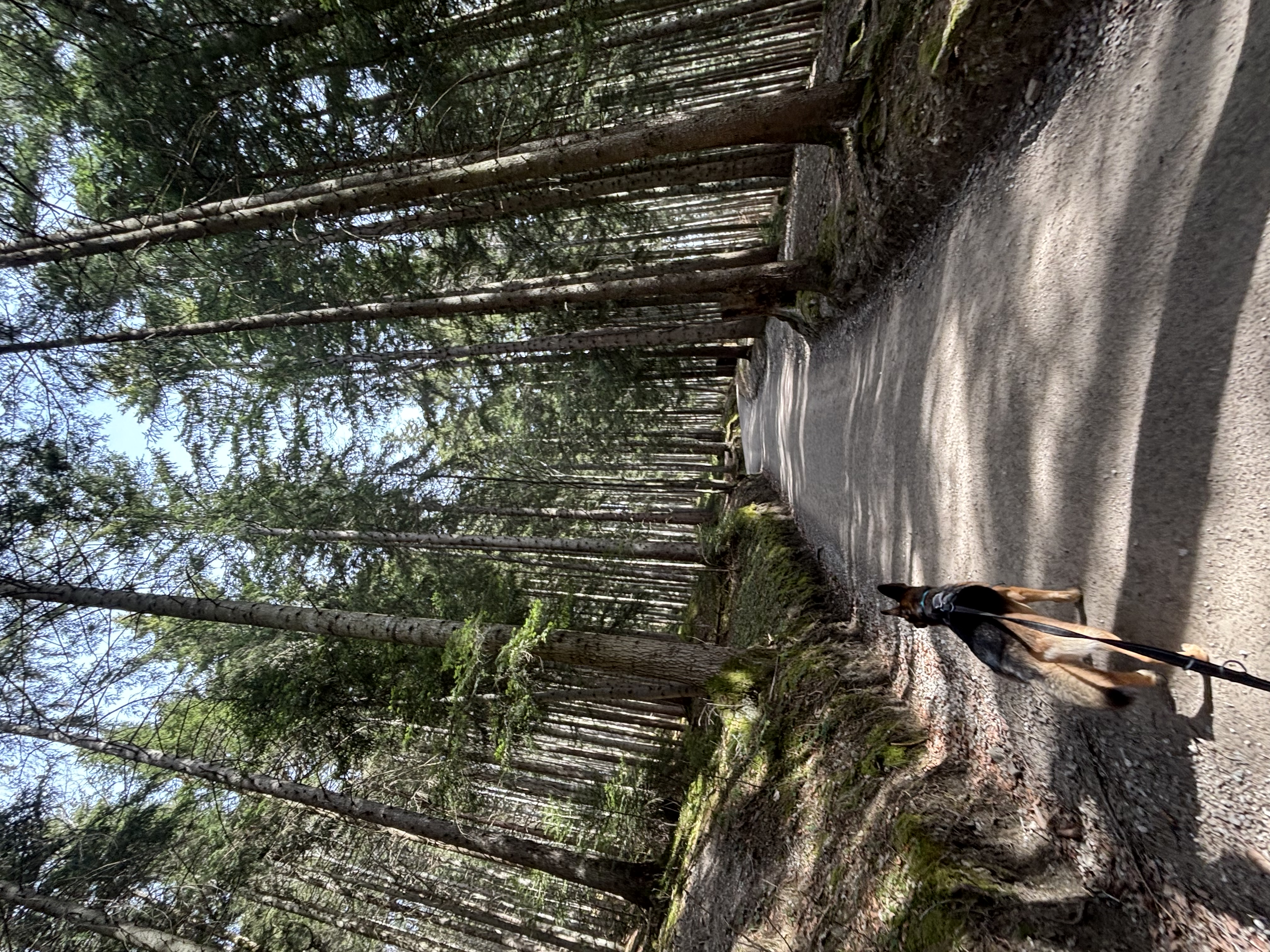 image-6
