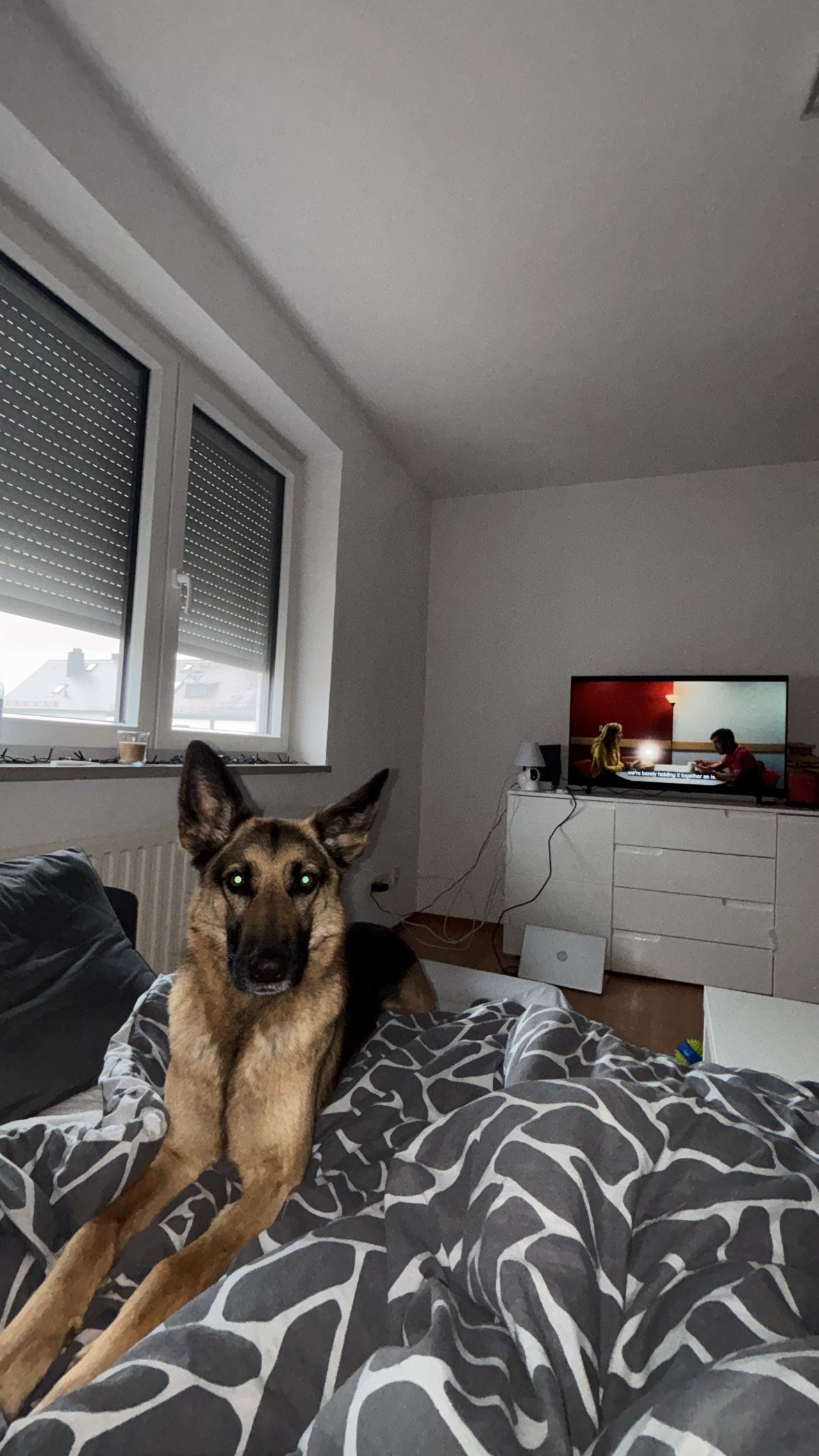image-9