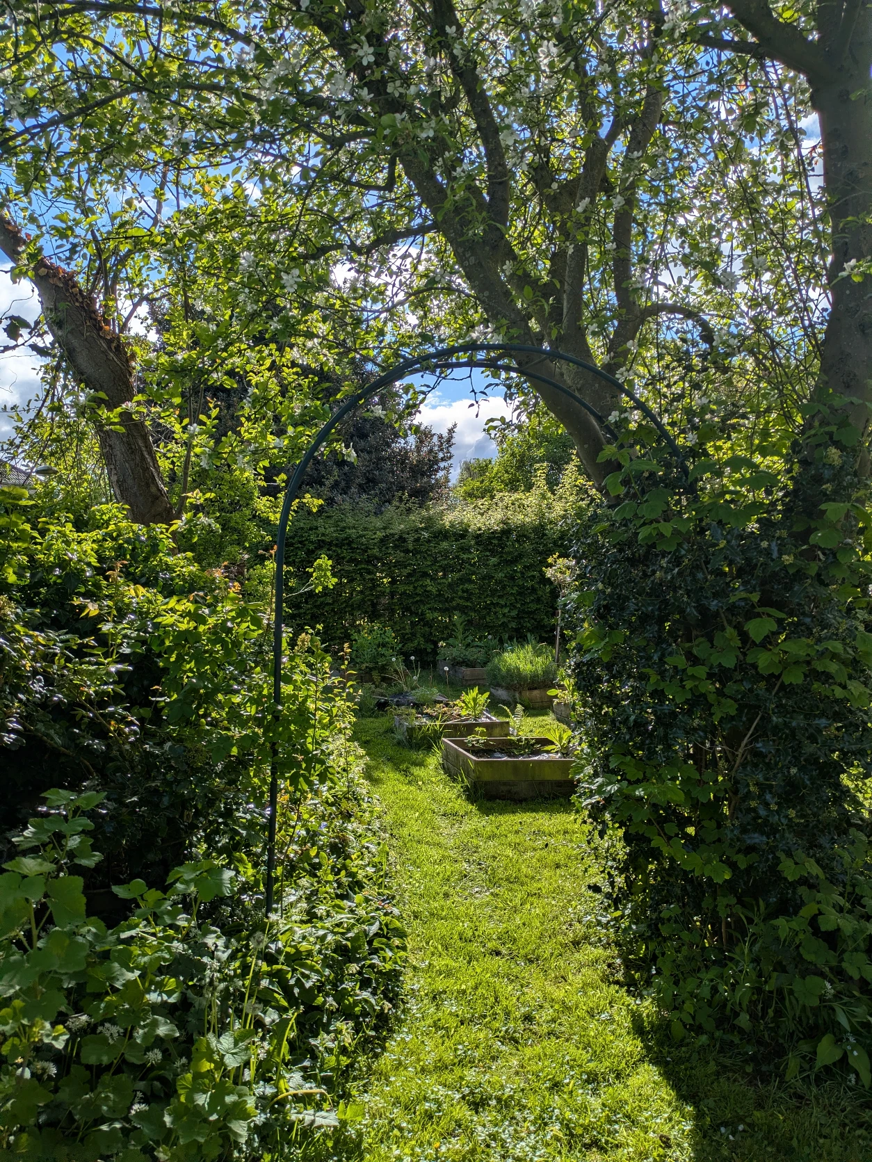 image-20