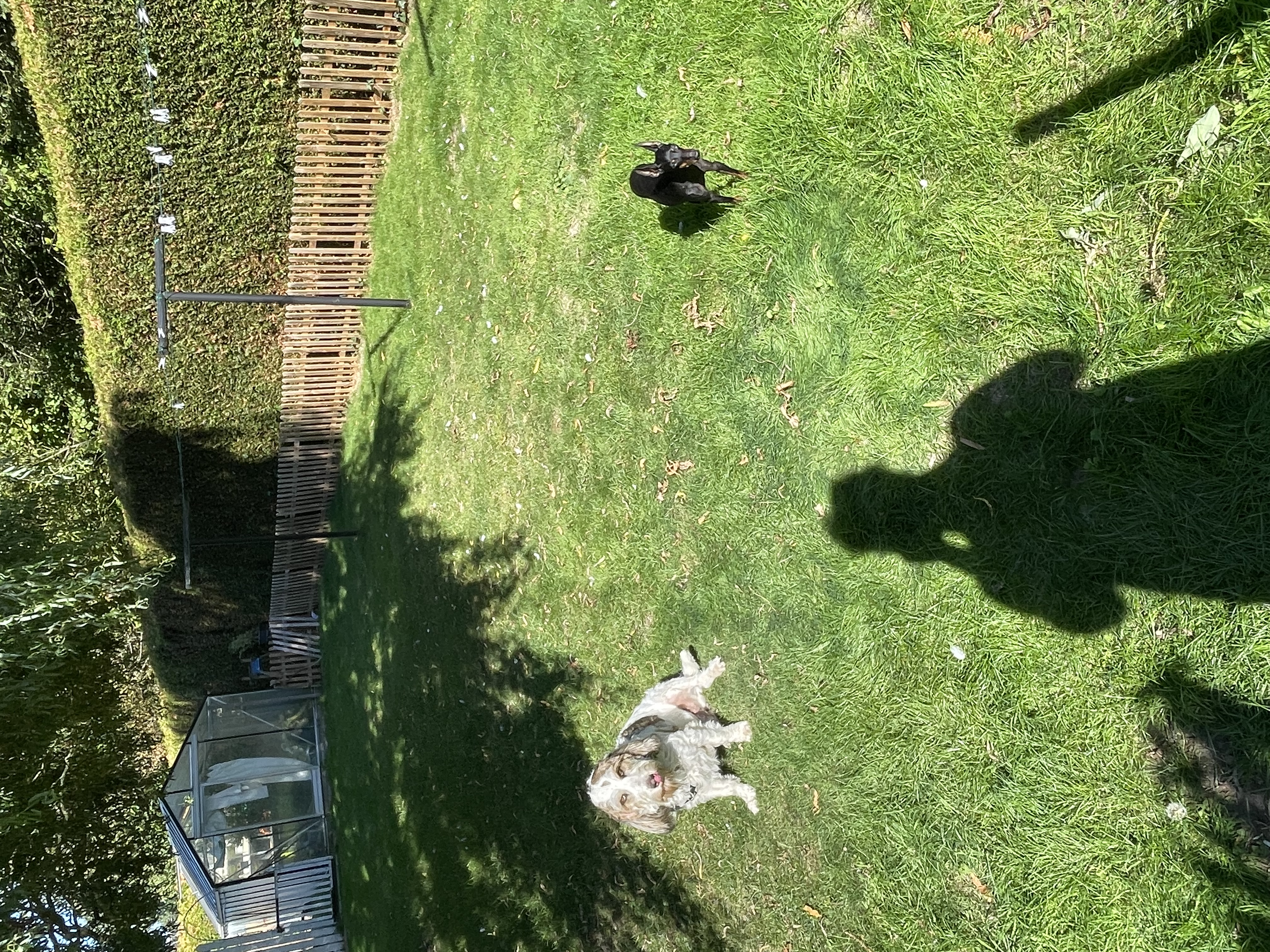 image-14