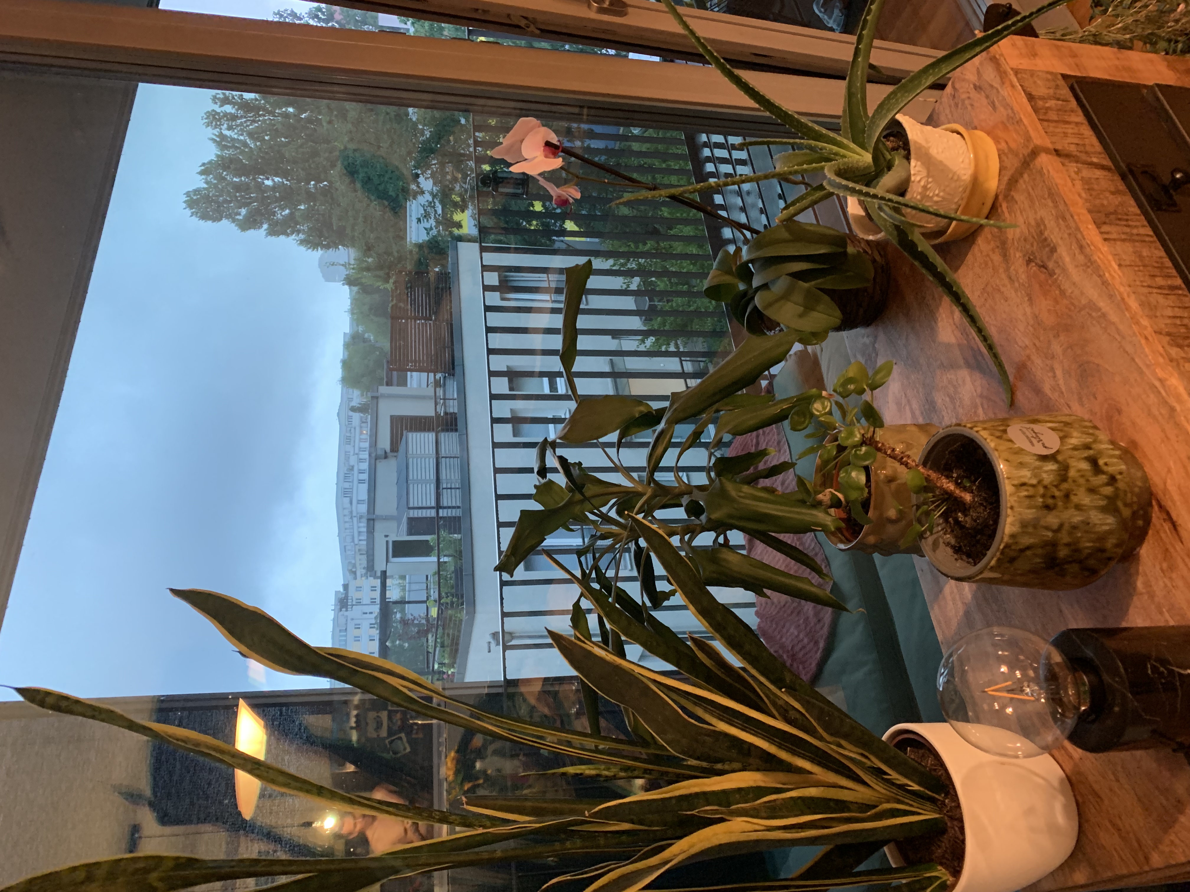 image-14