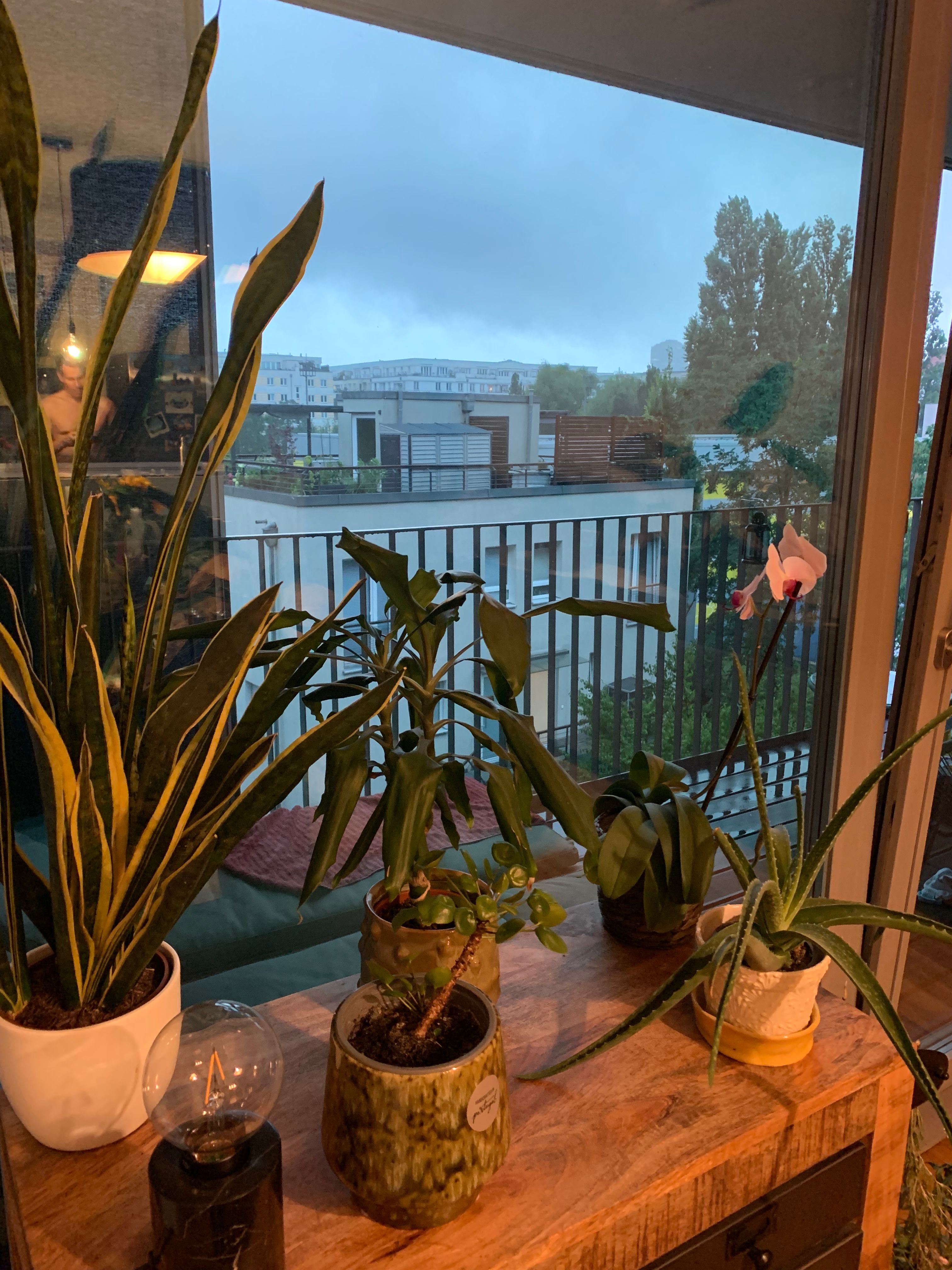 image-14