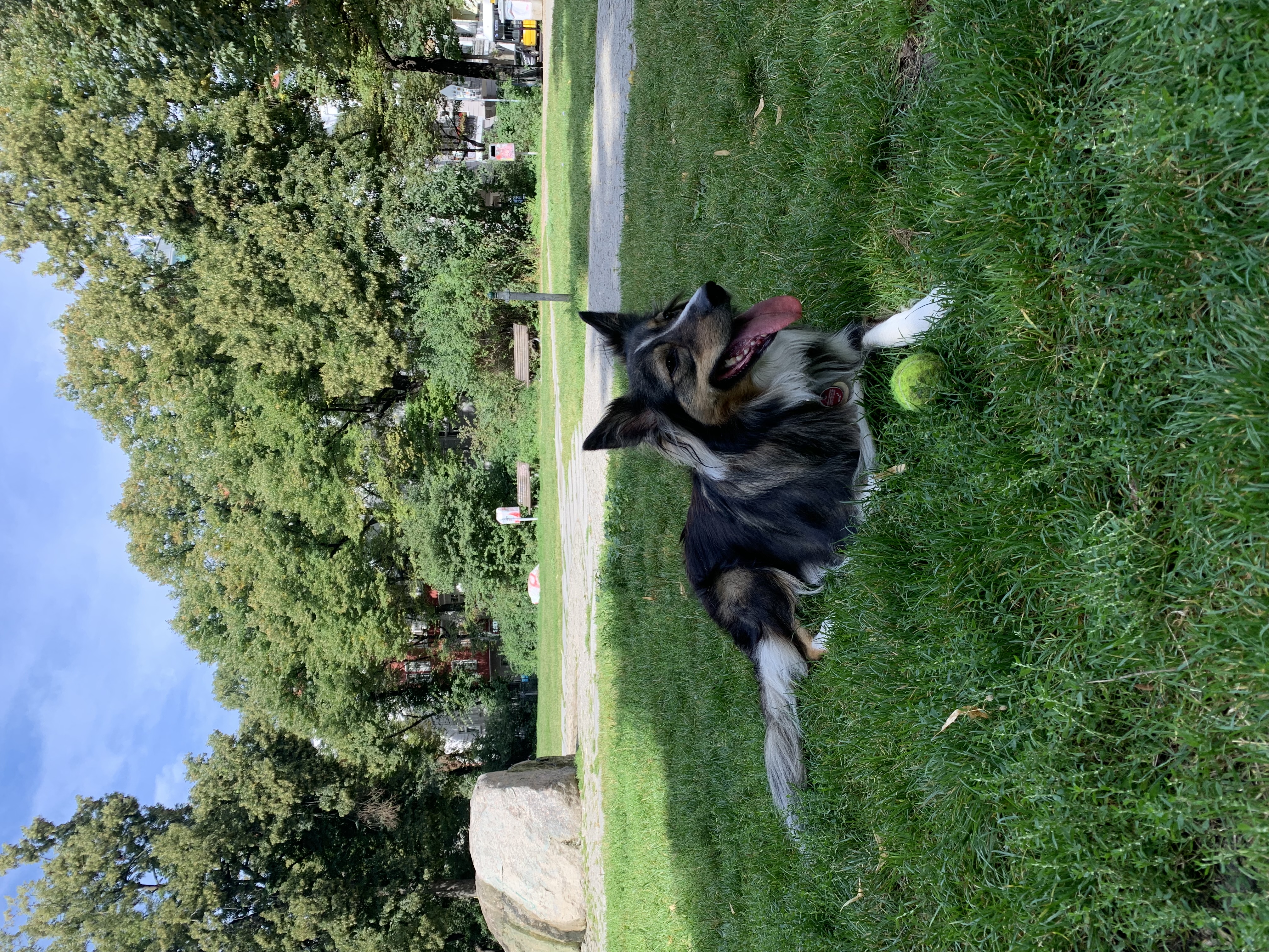 image-12