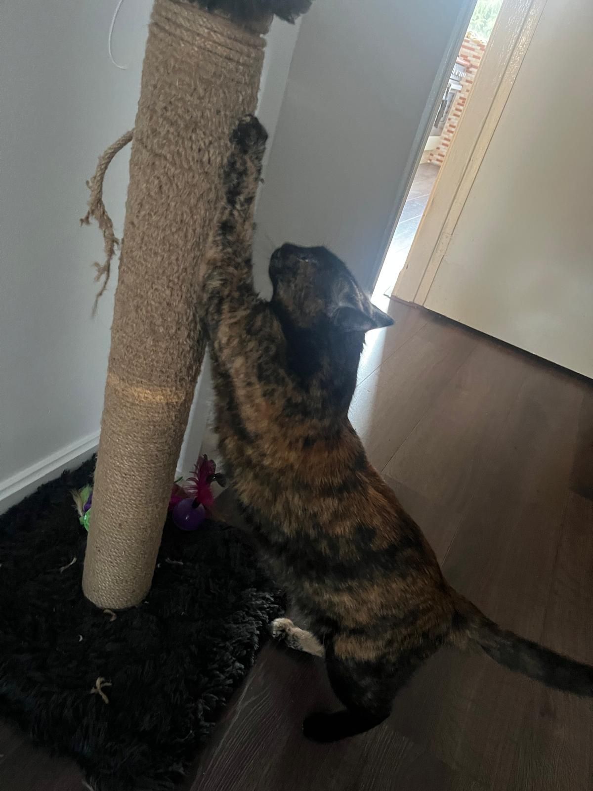 image-13