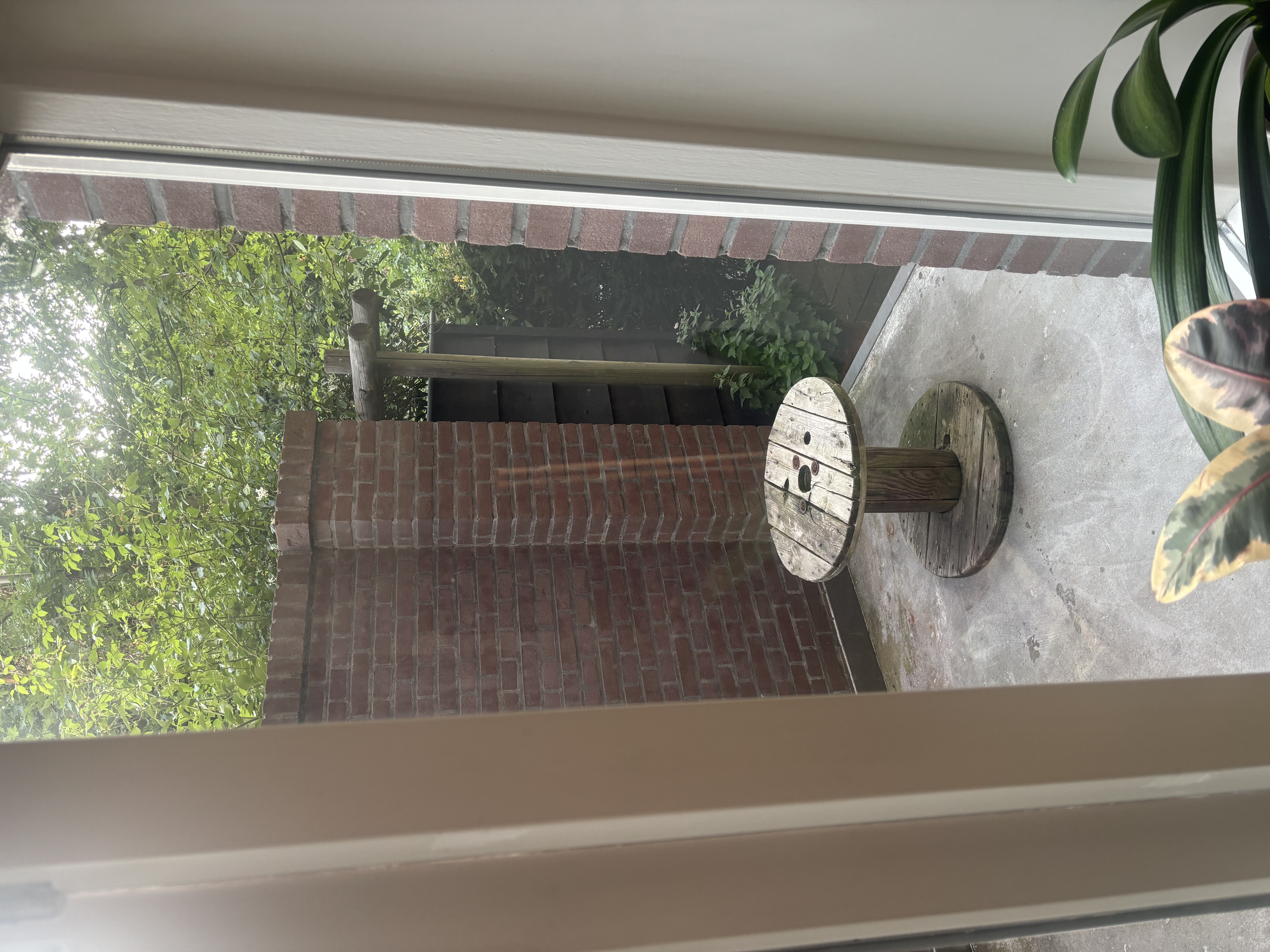 image-11