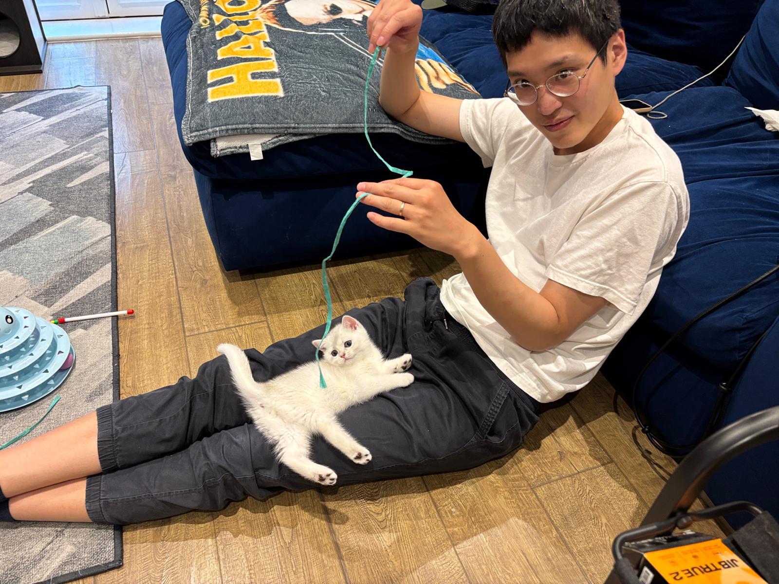 image-7