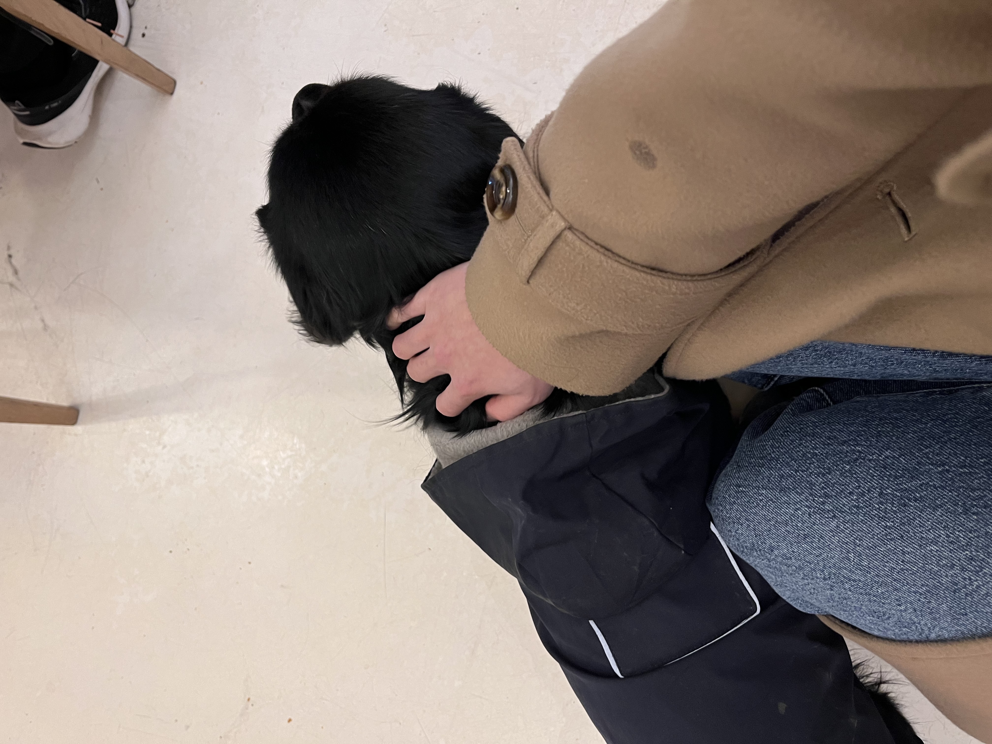 image-13
