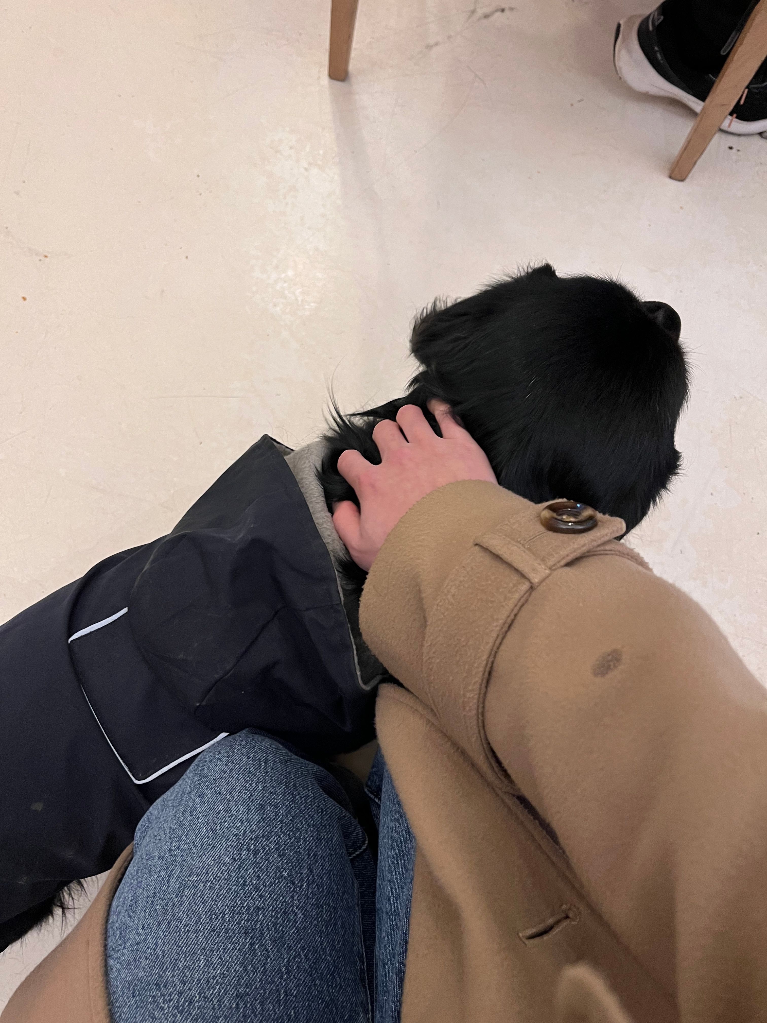 image-13