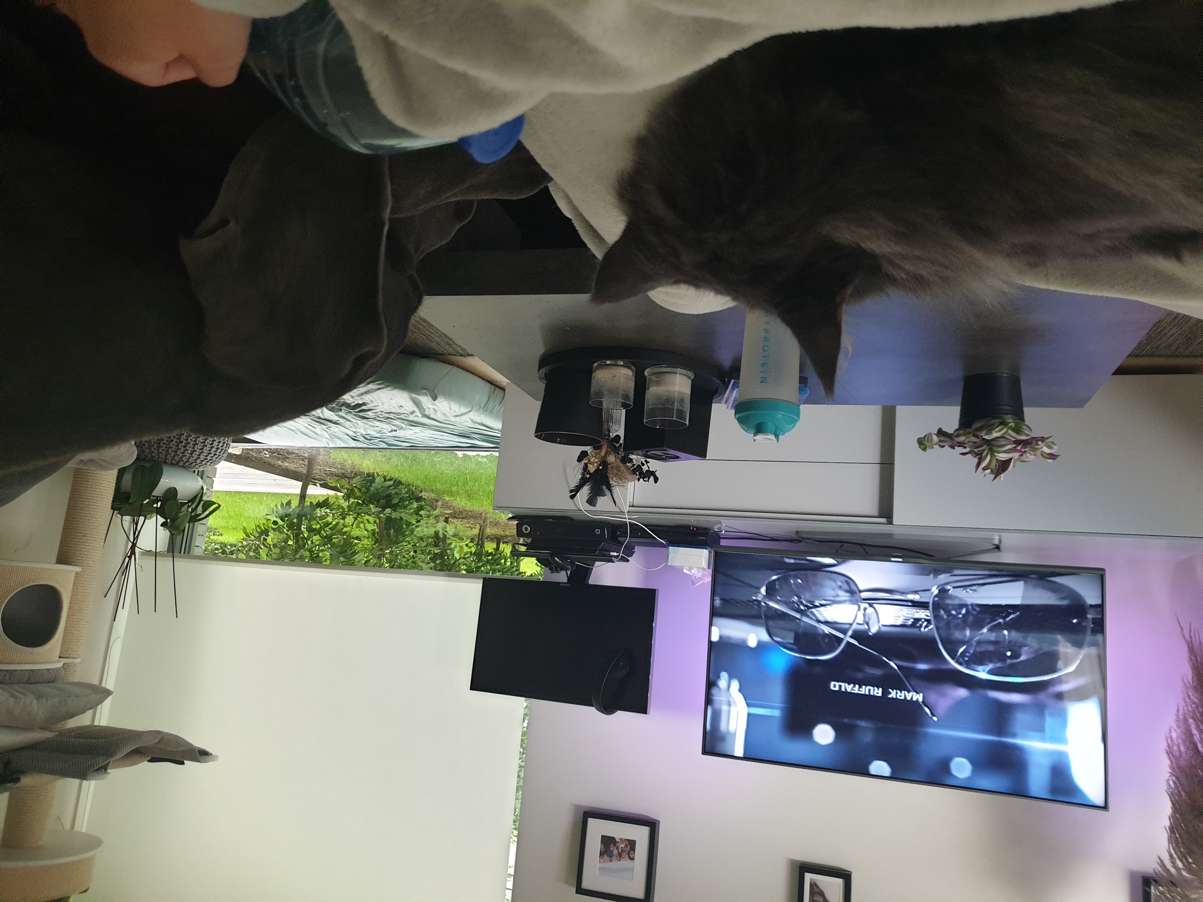 image-7