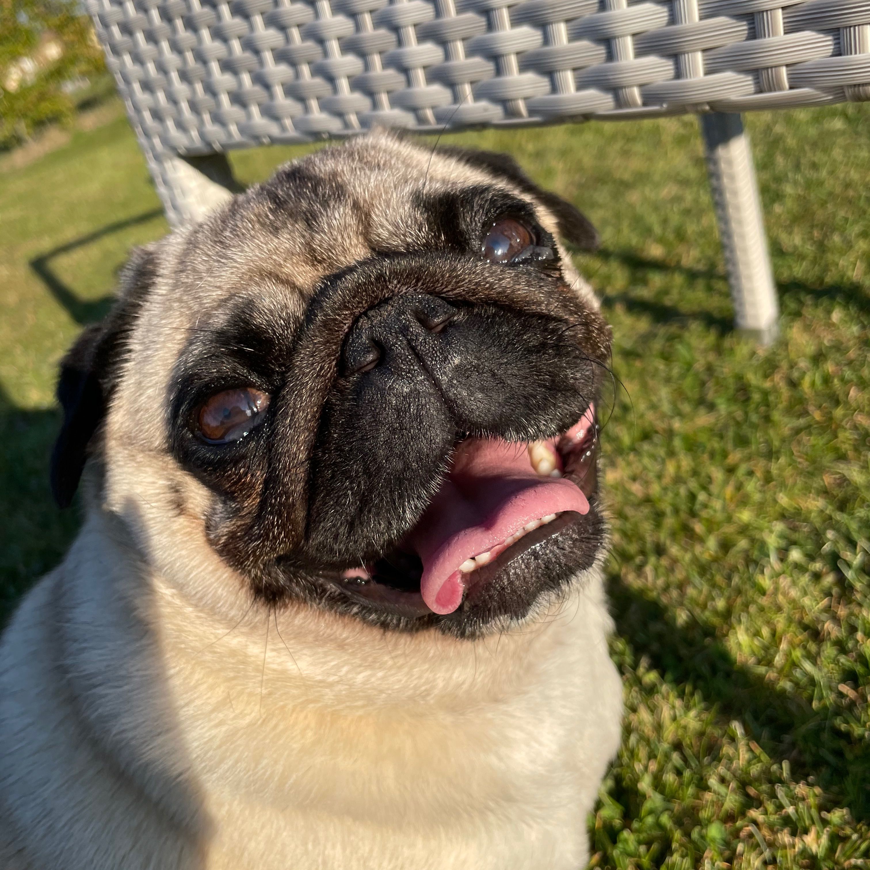 Mia