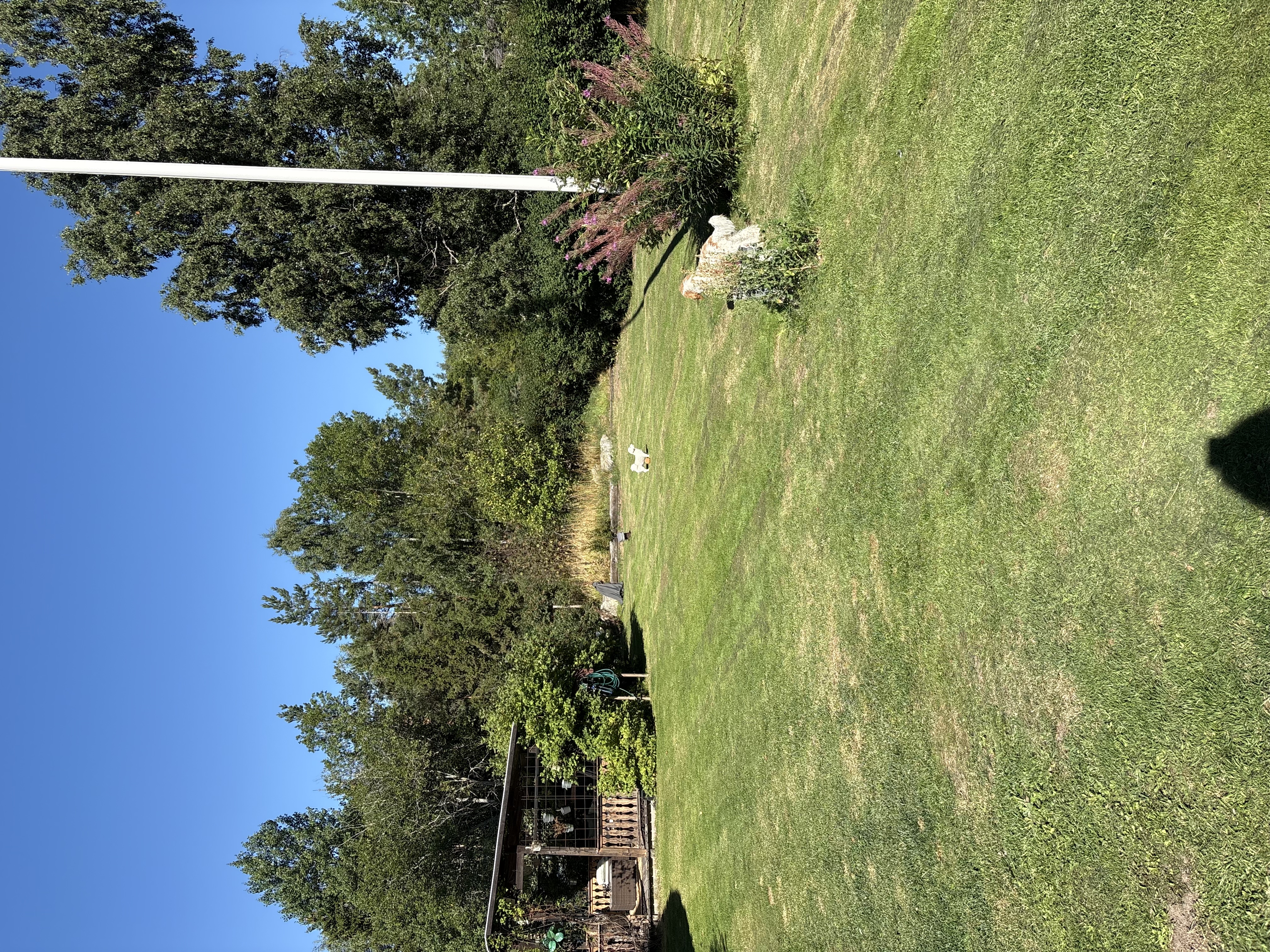 image-37