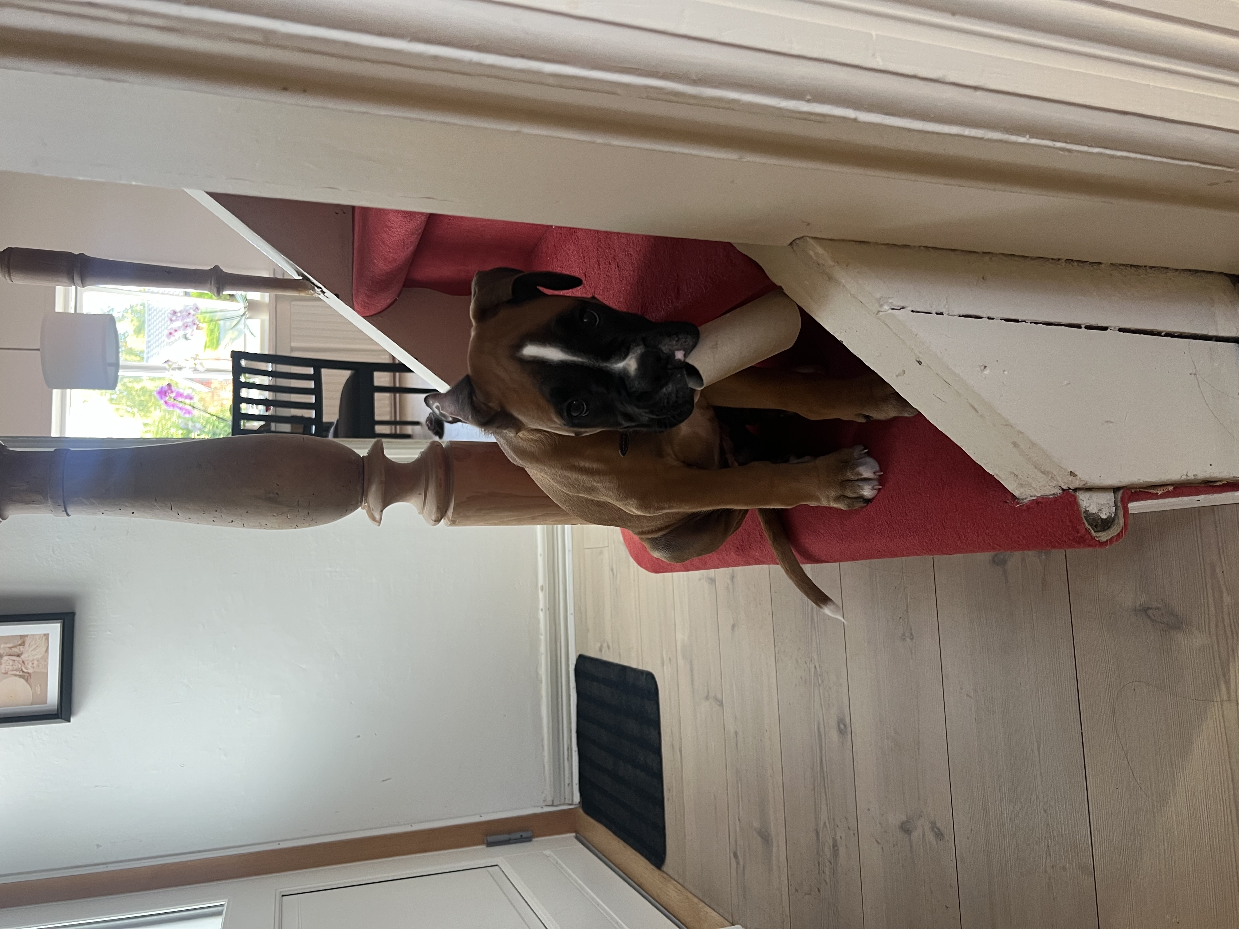 image-13