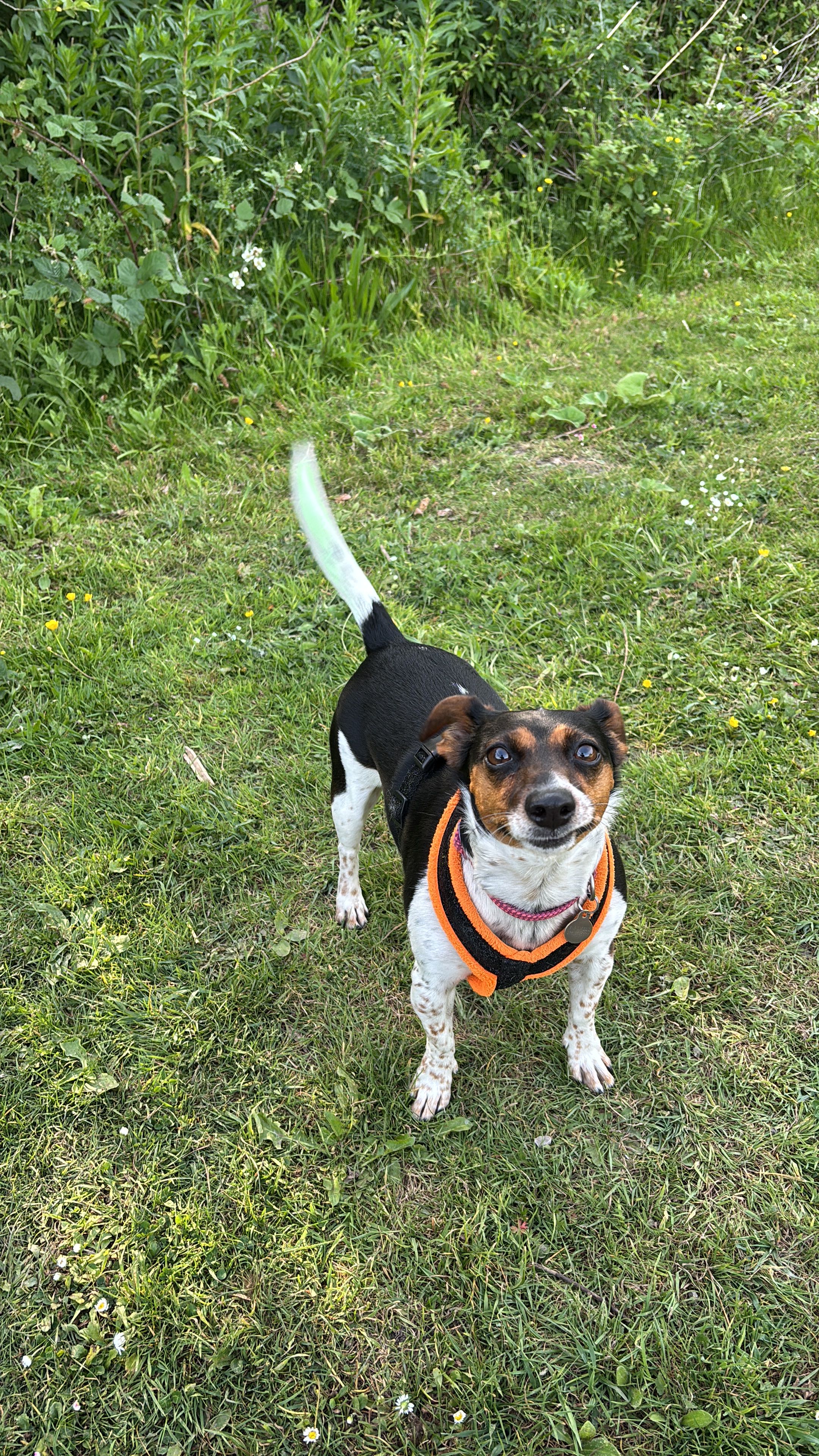image-10