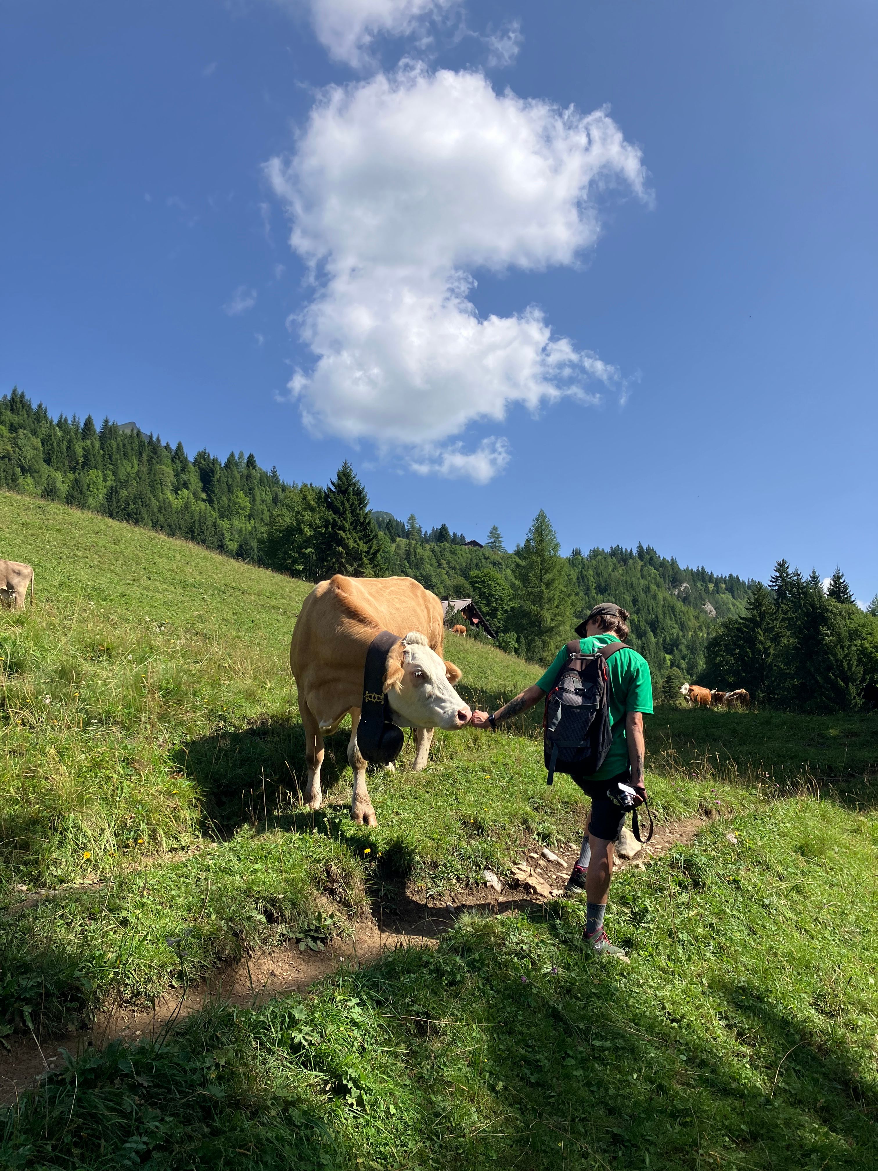 image-10