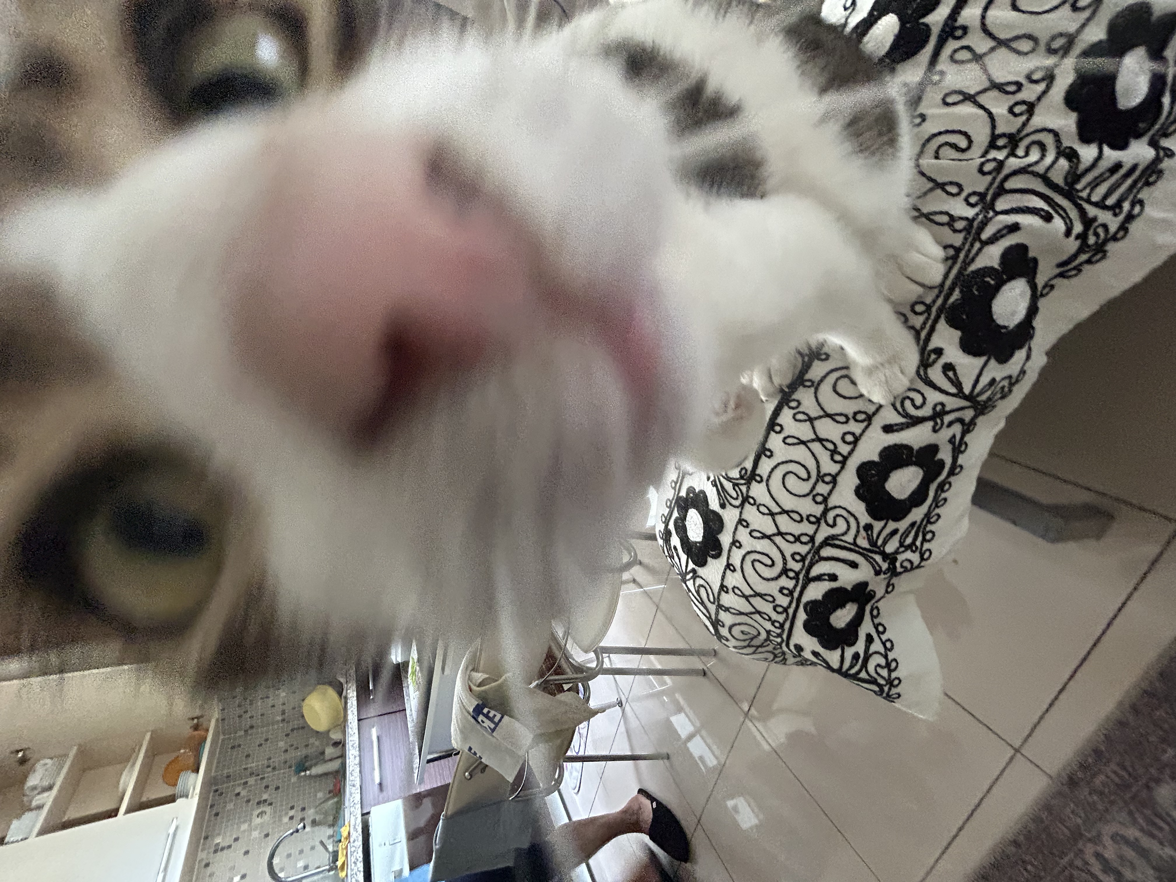 image-5