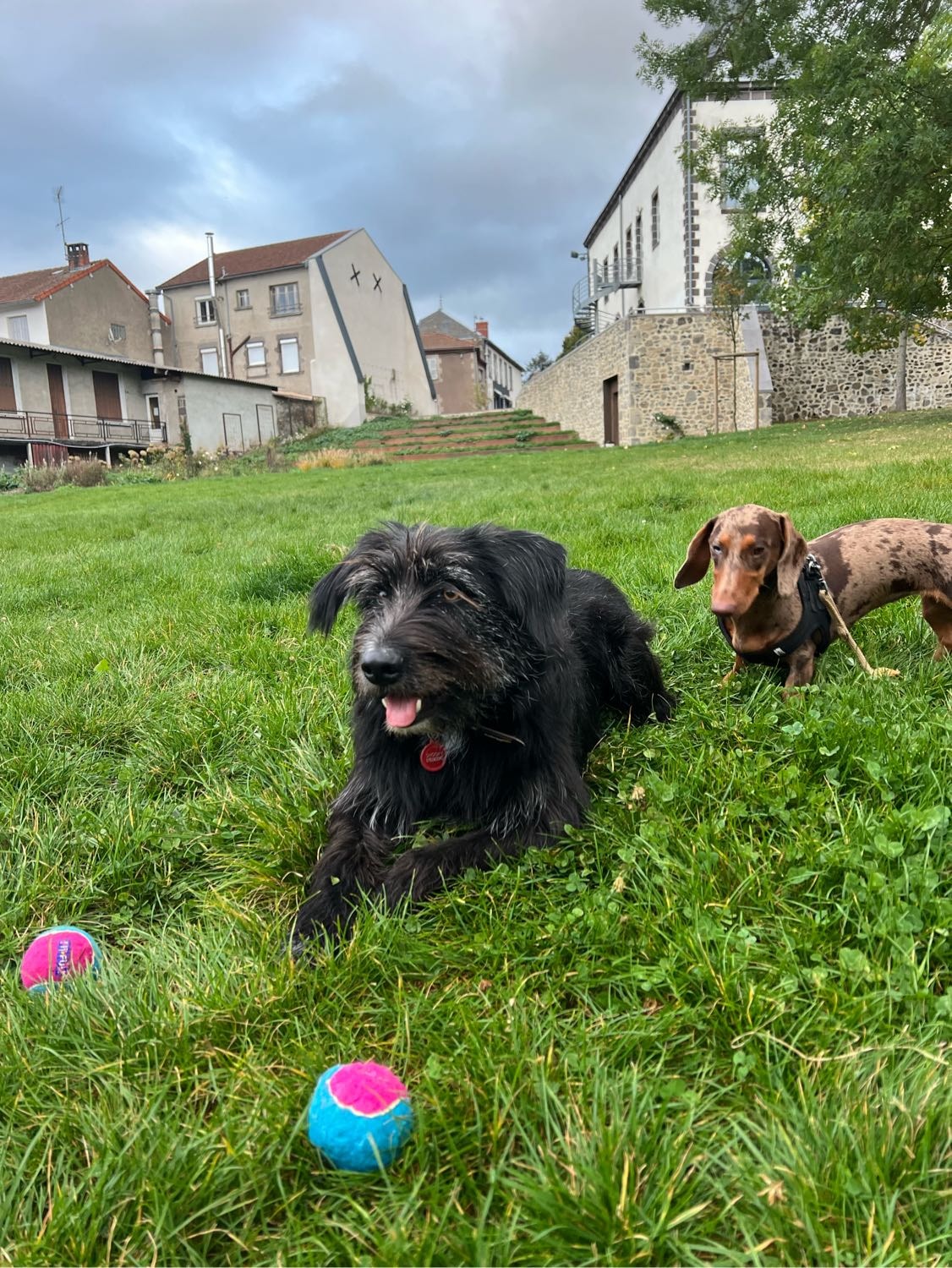 image-6