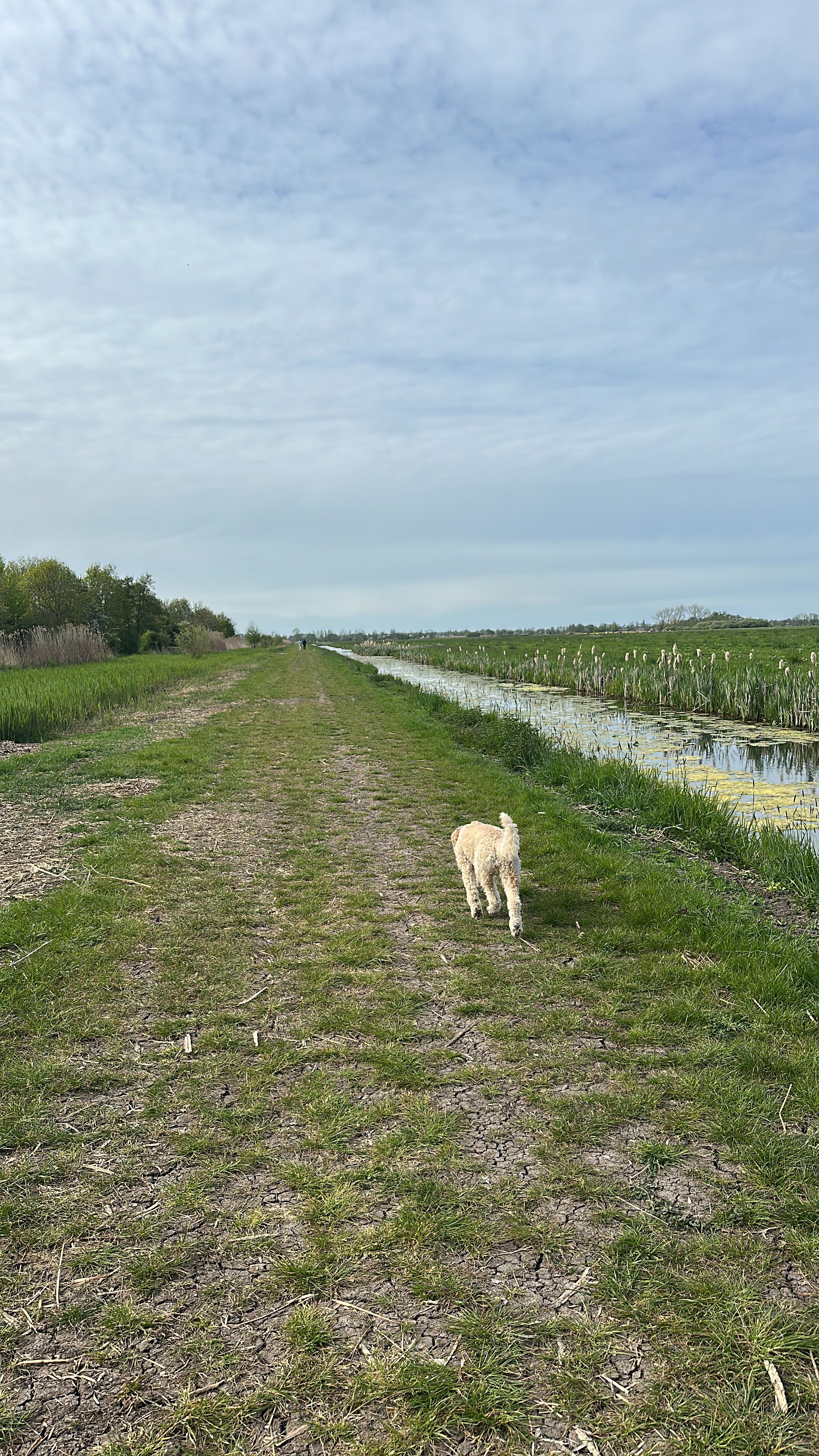 image-17