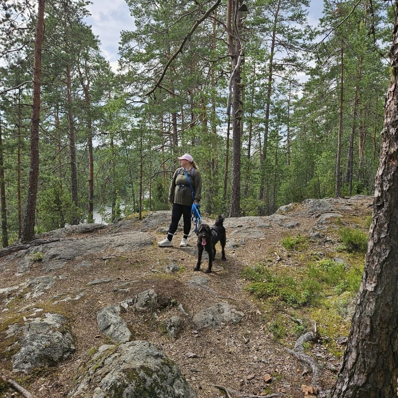 Tuuli