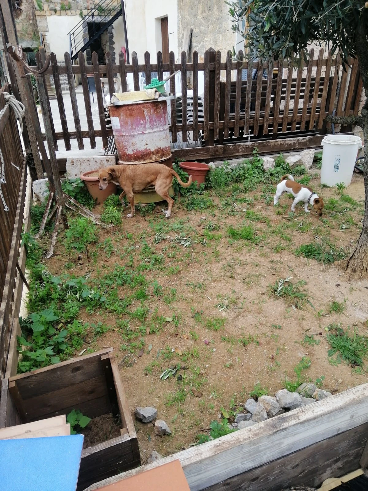 image-9