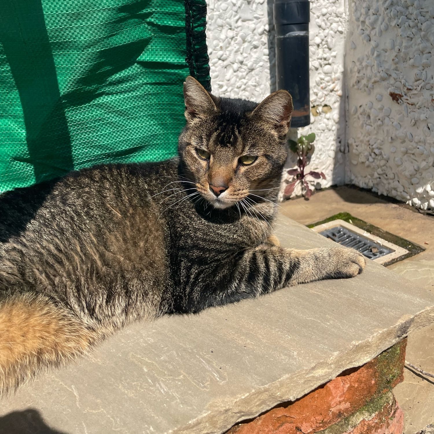 George