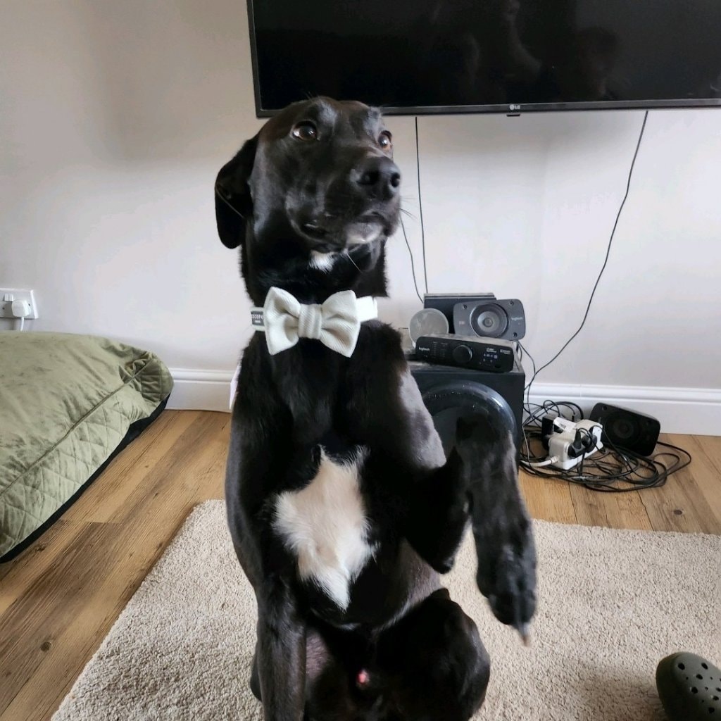 Murphy