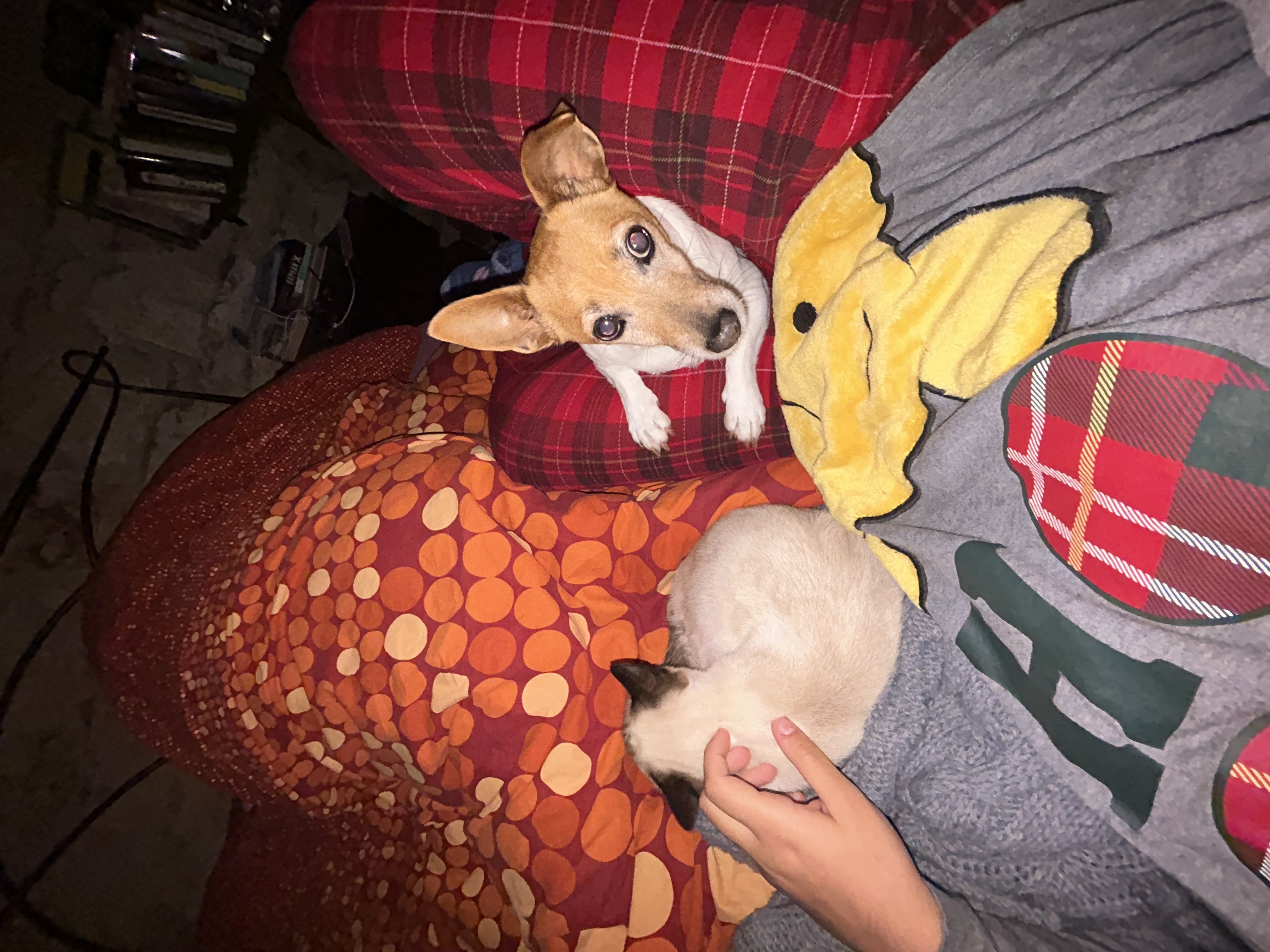 image-6