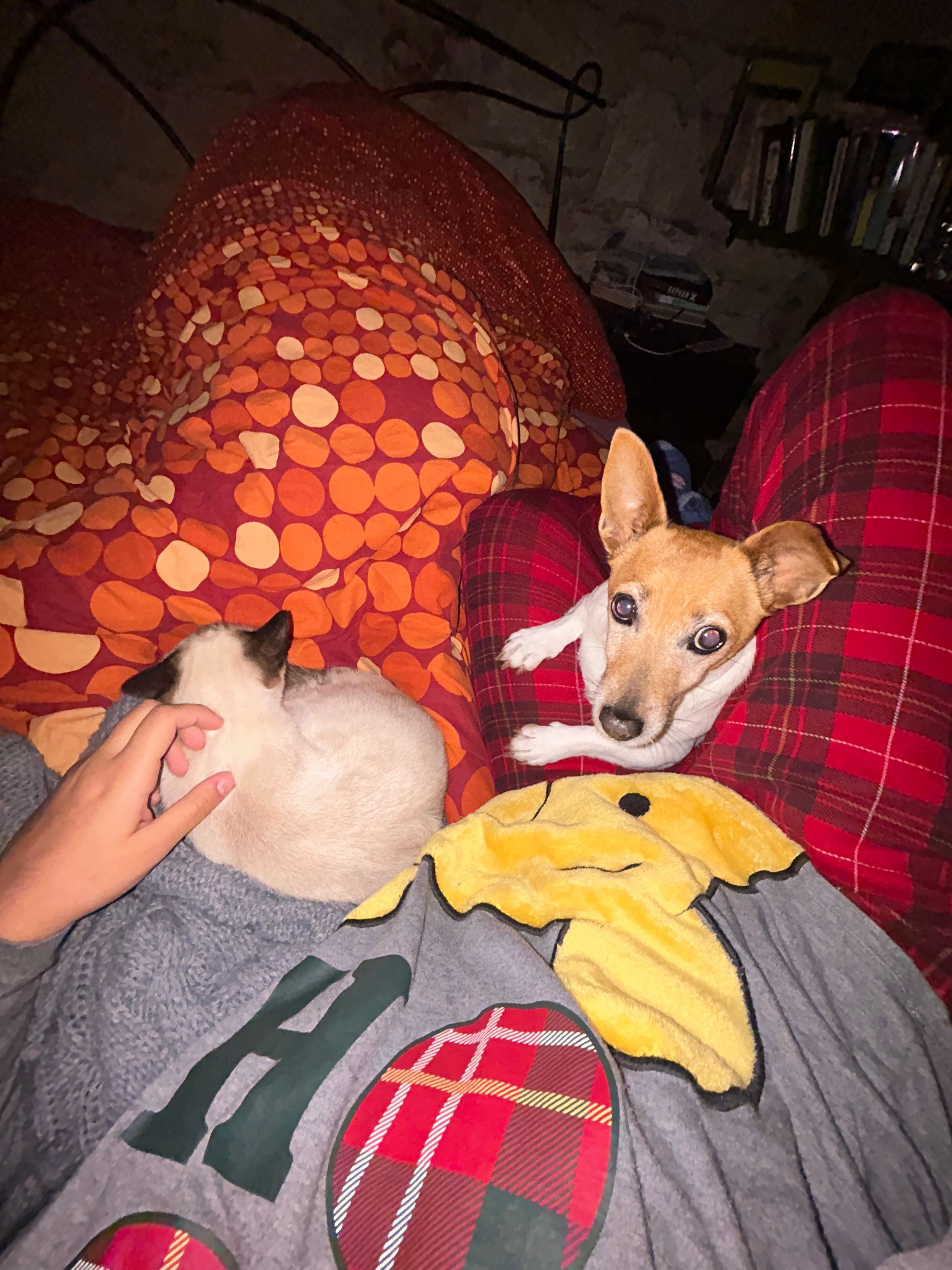 image-6