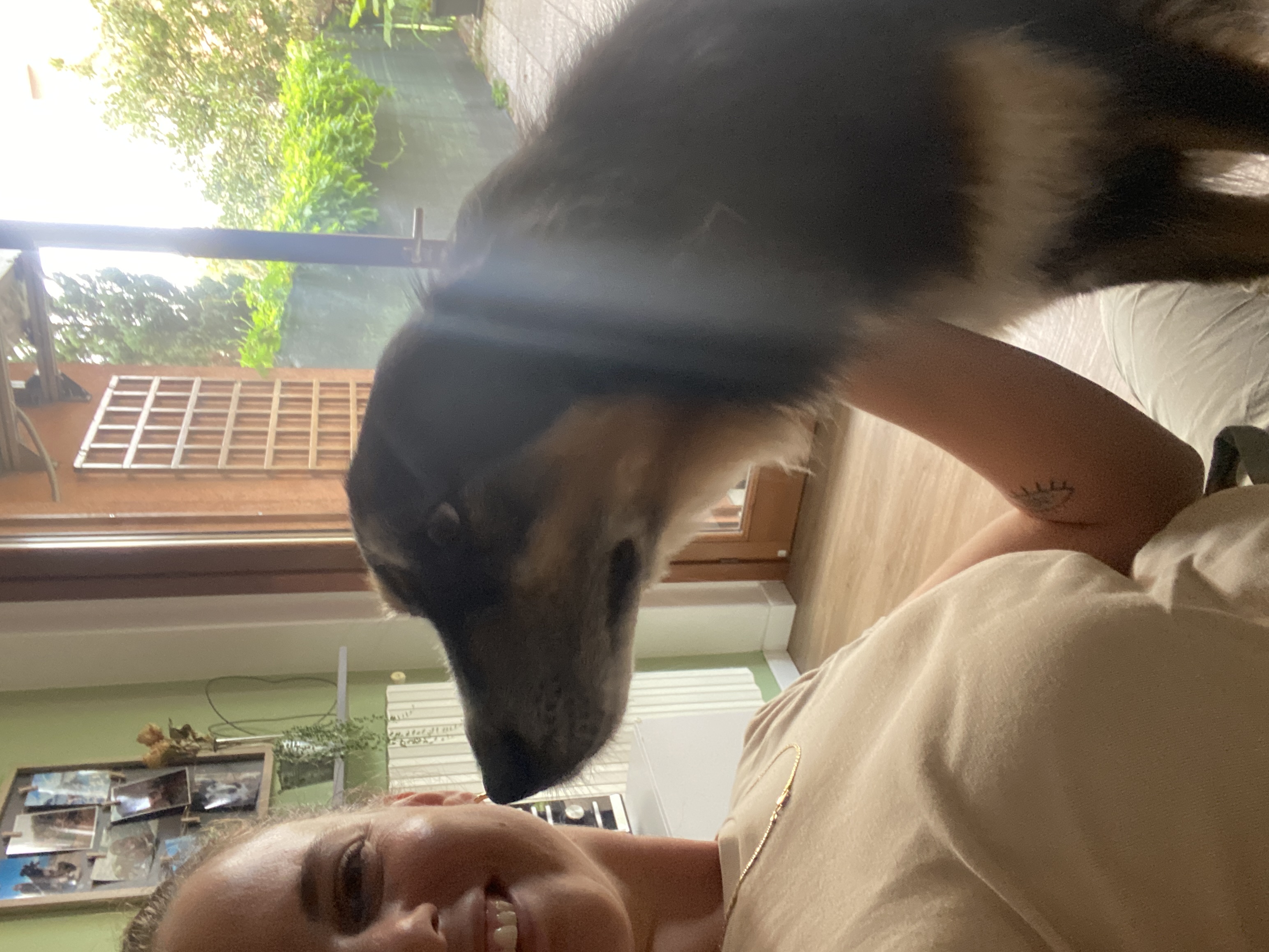image-12