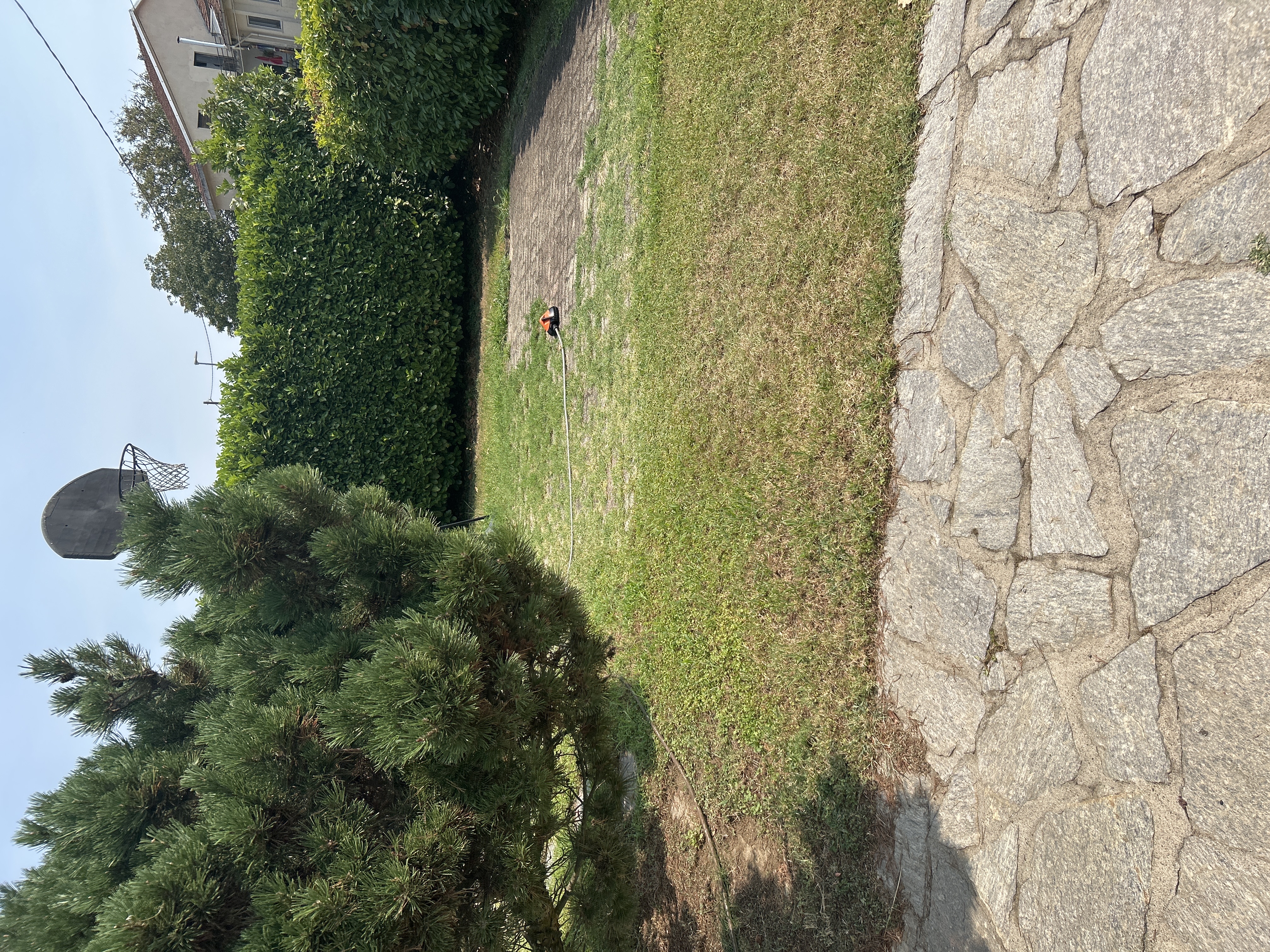 image-8