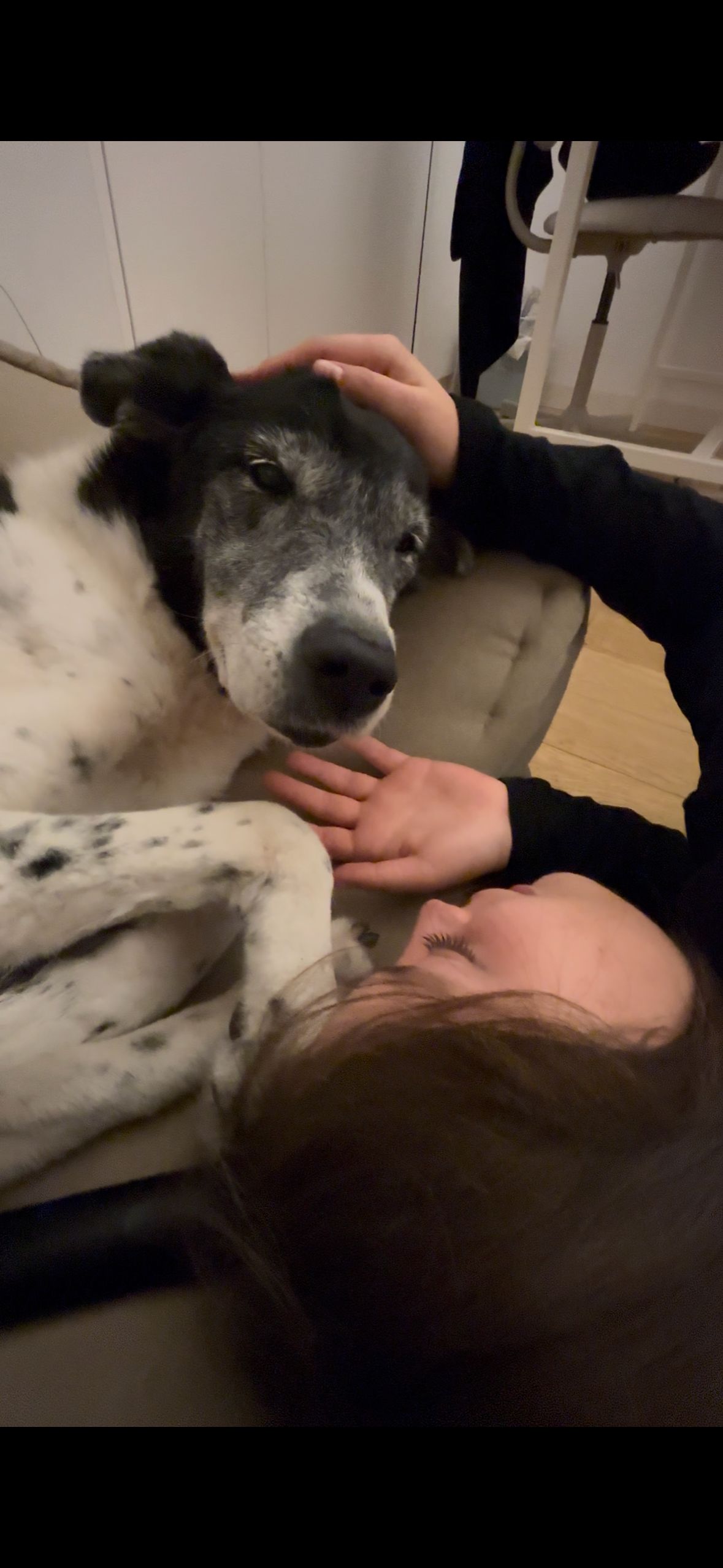 image-6